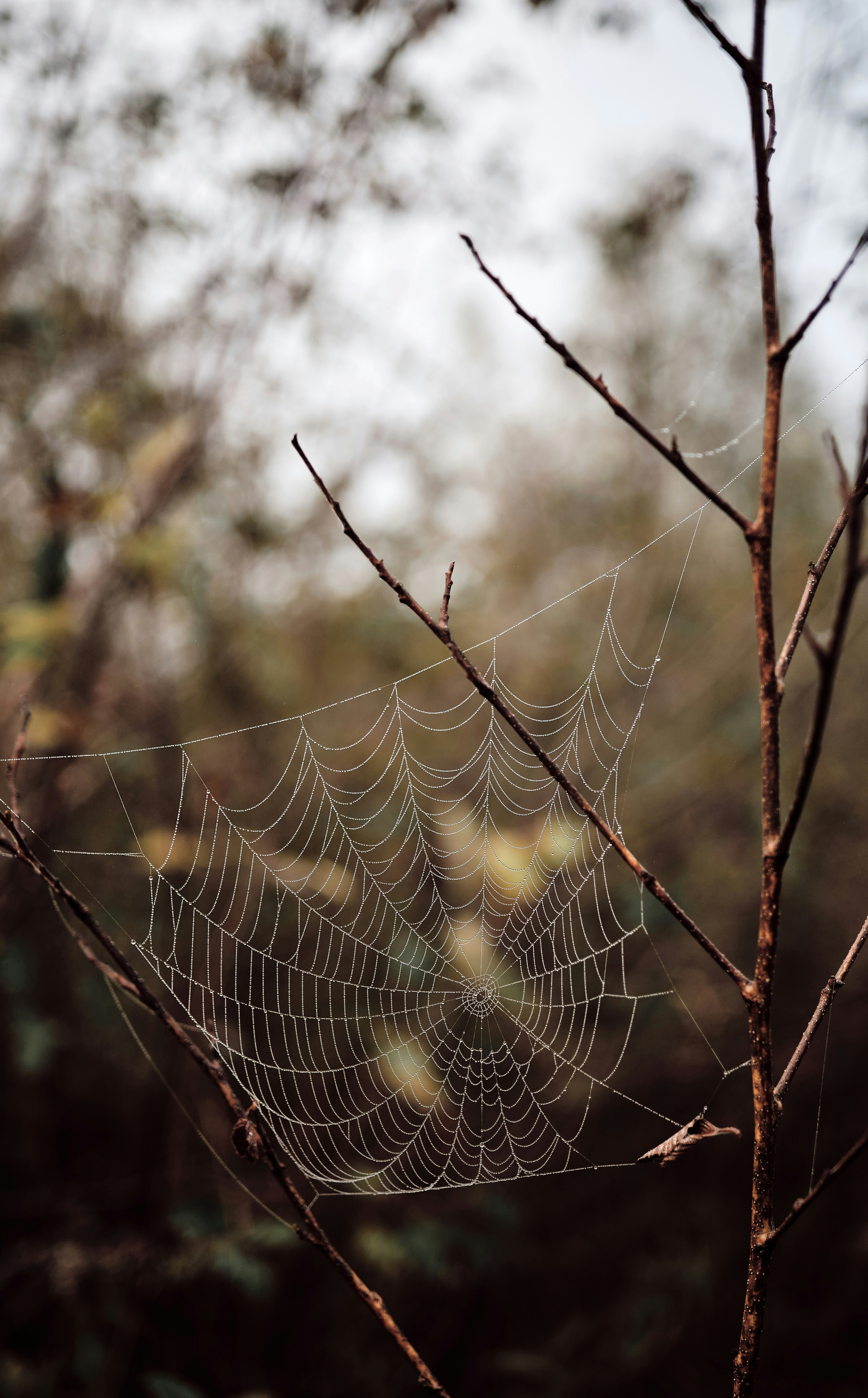 Photo by marcus_ganahl