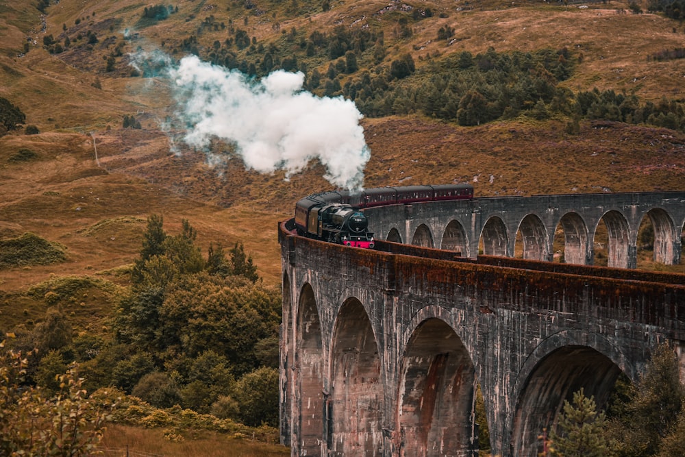 a train on a bridge