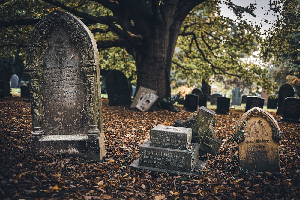 a cemetery with many gravestones