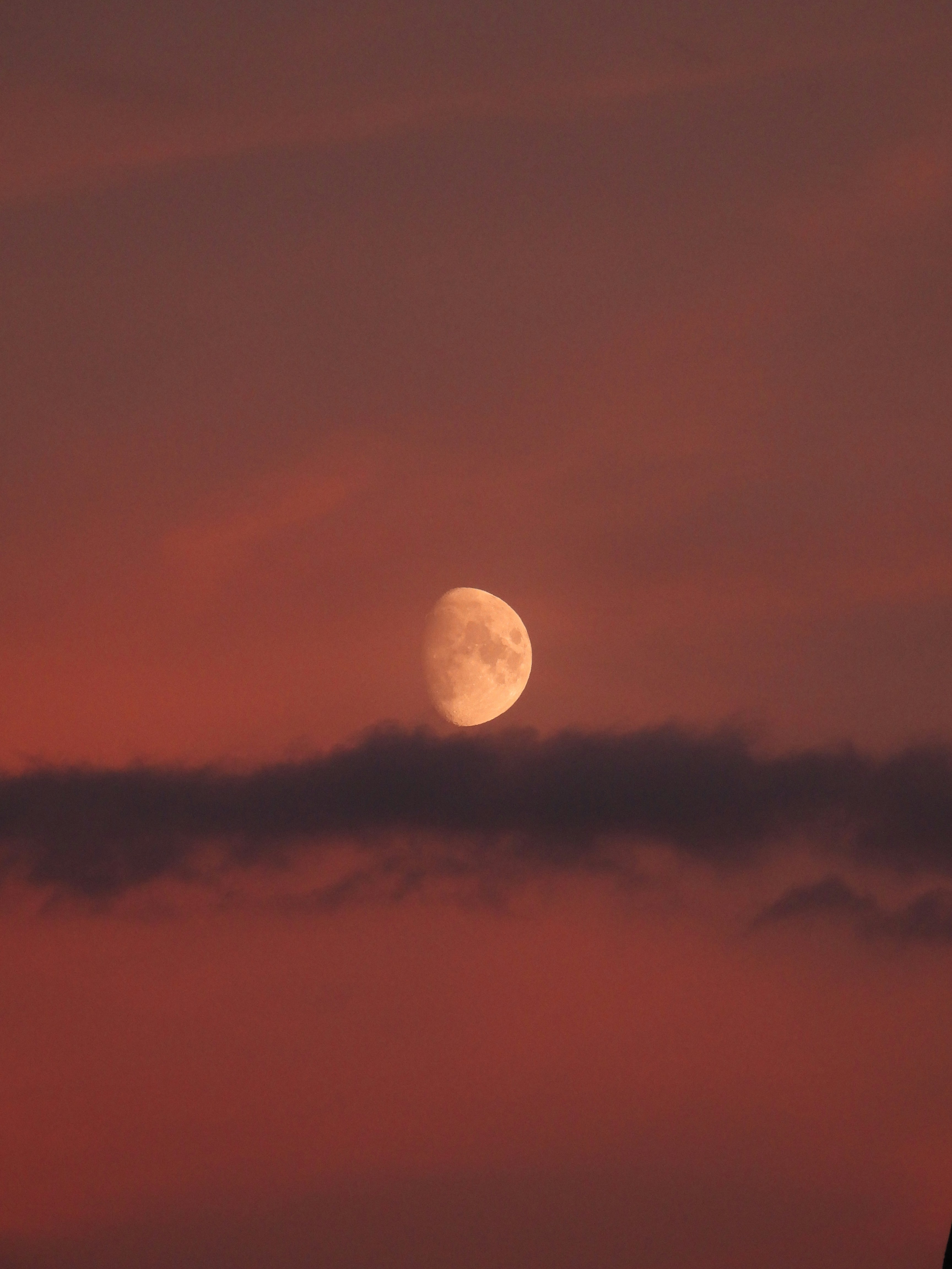 Photo by mortezakhalili