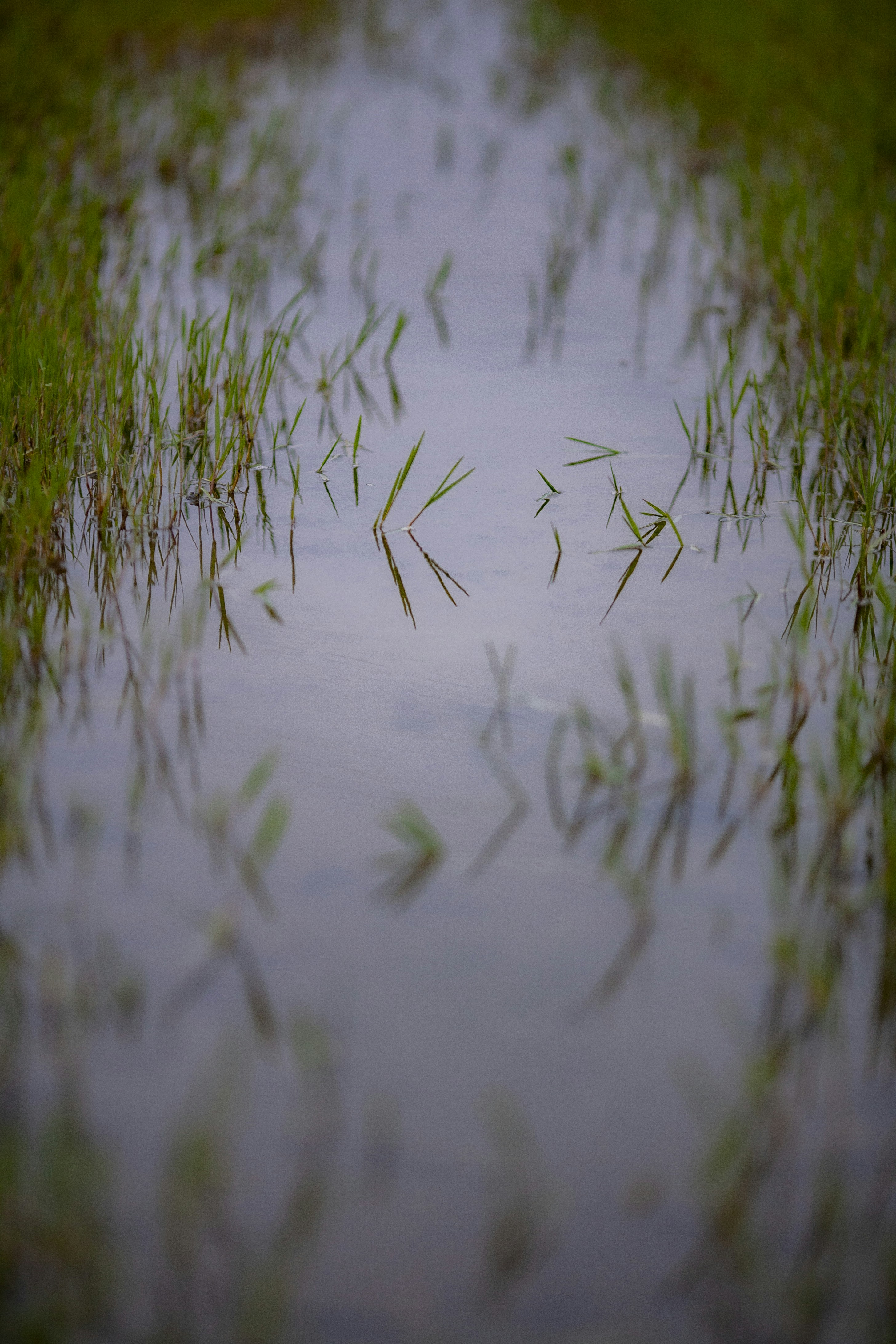 Photo by superslackoff