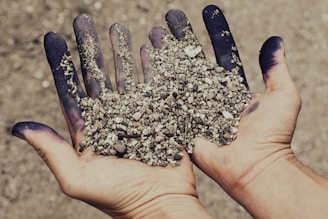 a hand holding a handful of dirt