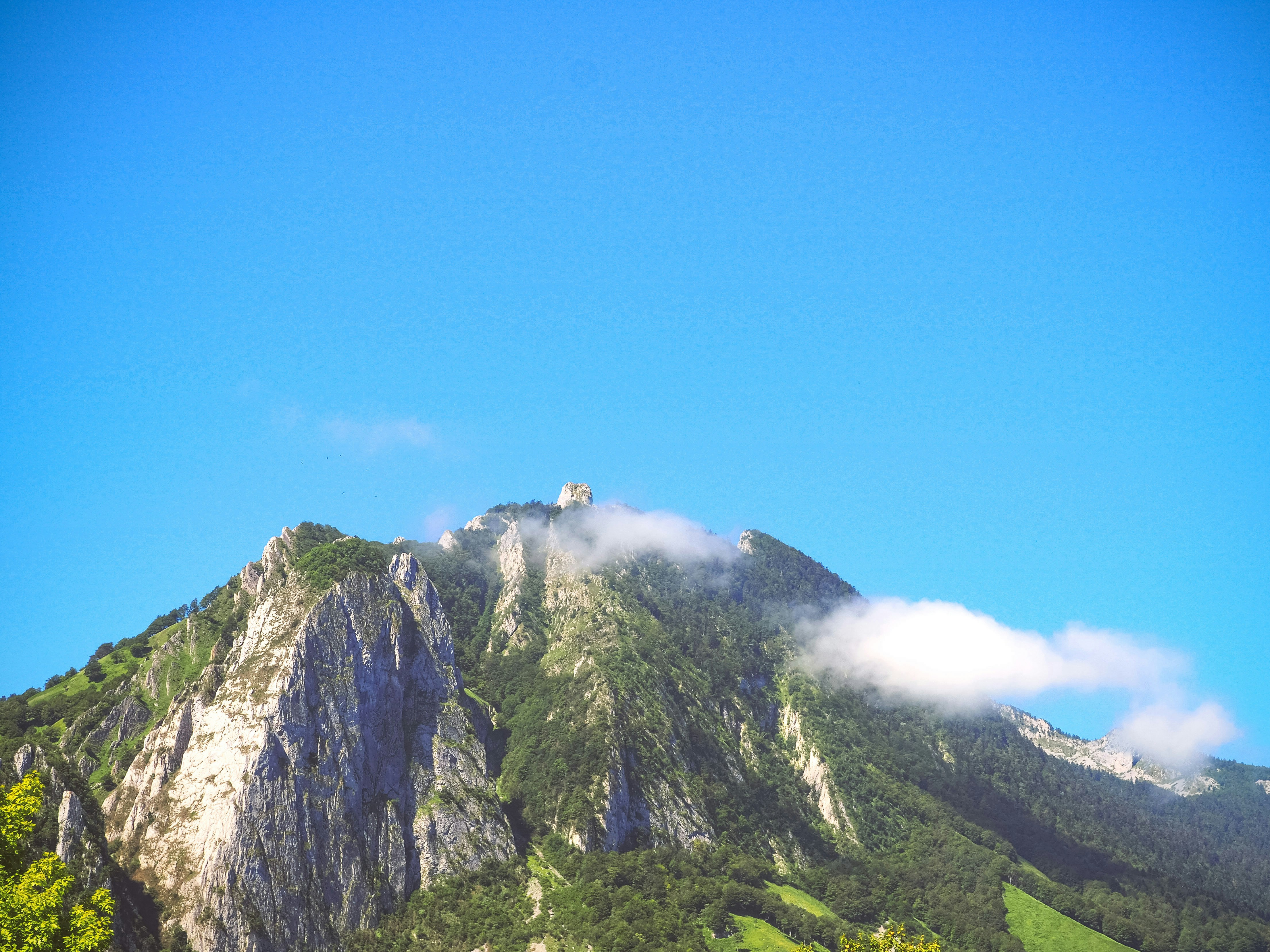 Photo by el_morillas