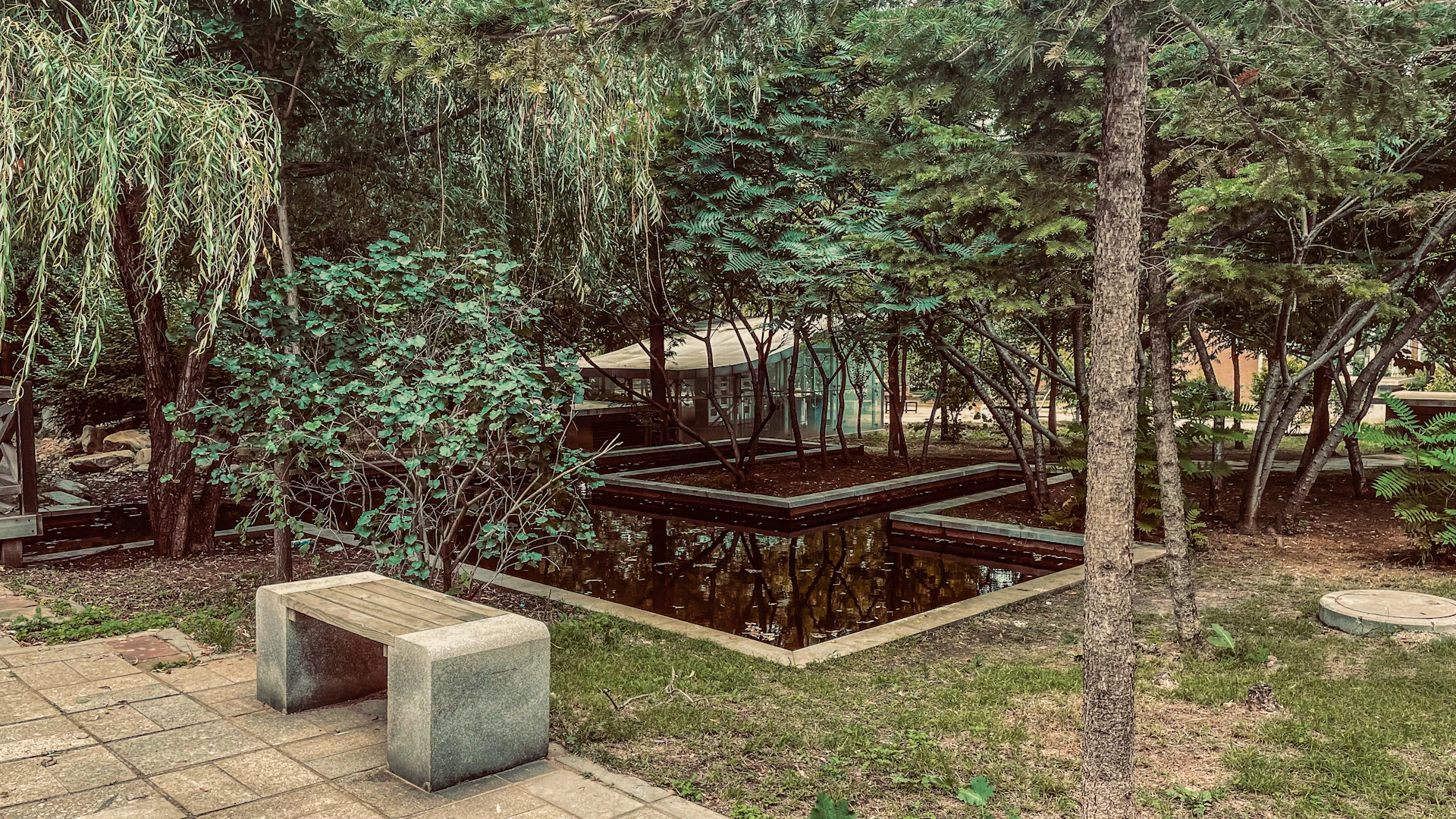 woman wearing yellow long-sleeved dress under white clouds and blue sky during daytime