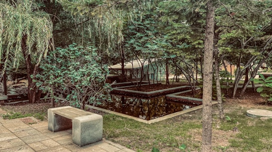 A serene park setting featuring a stone bench on a paved area surrounded by lush green trees and shrubs. A small, rectangular water feature is situated among the trees, reflecting the surrounding foliage. The scene conveys a peaceful and natural atmosphere.