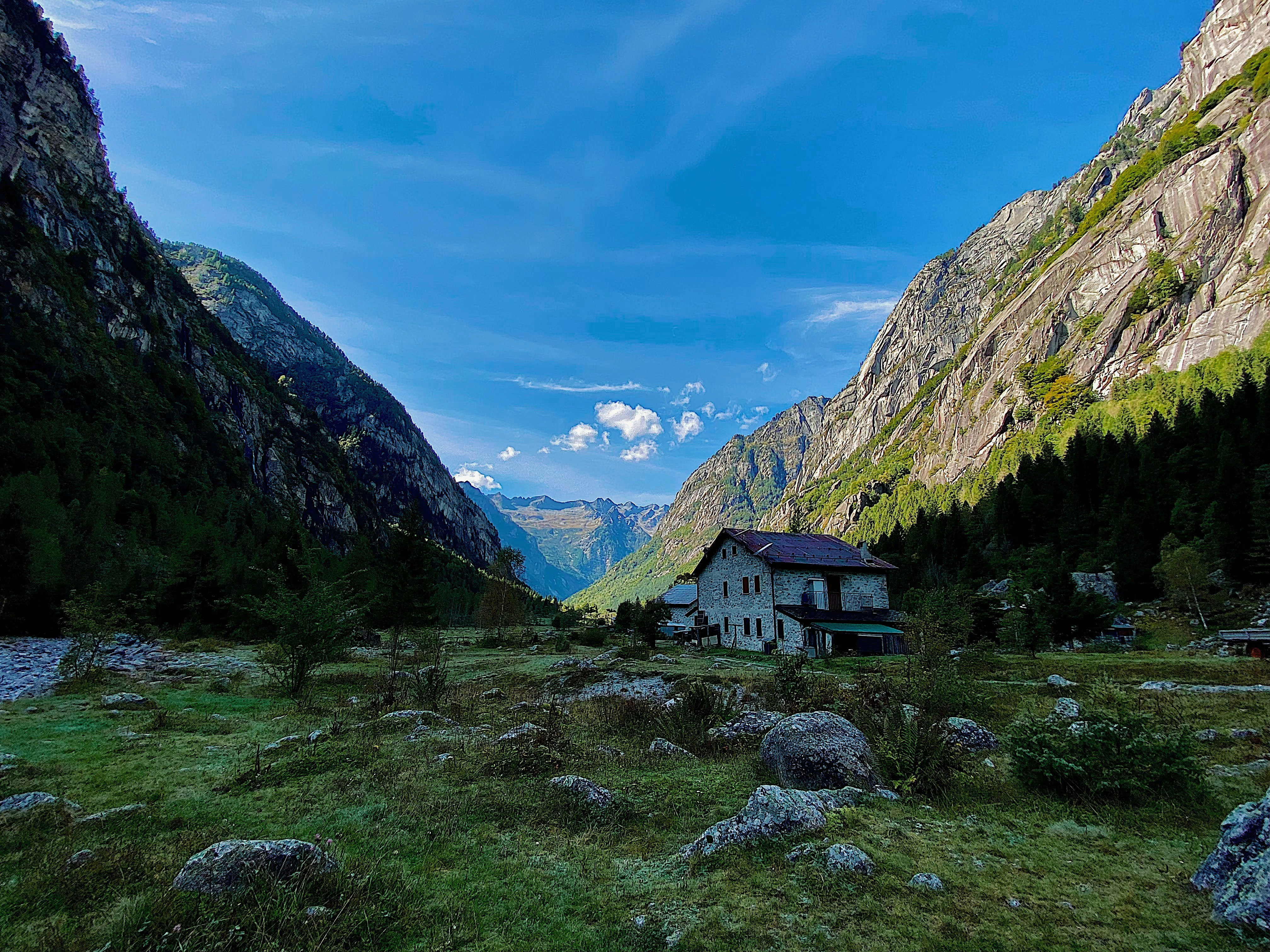 Photo by roman_livia