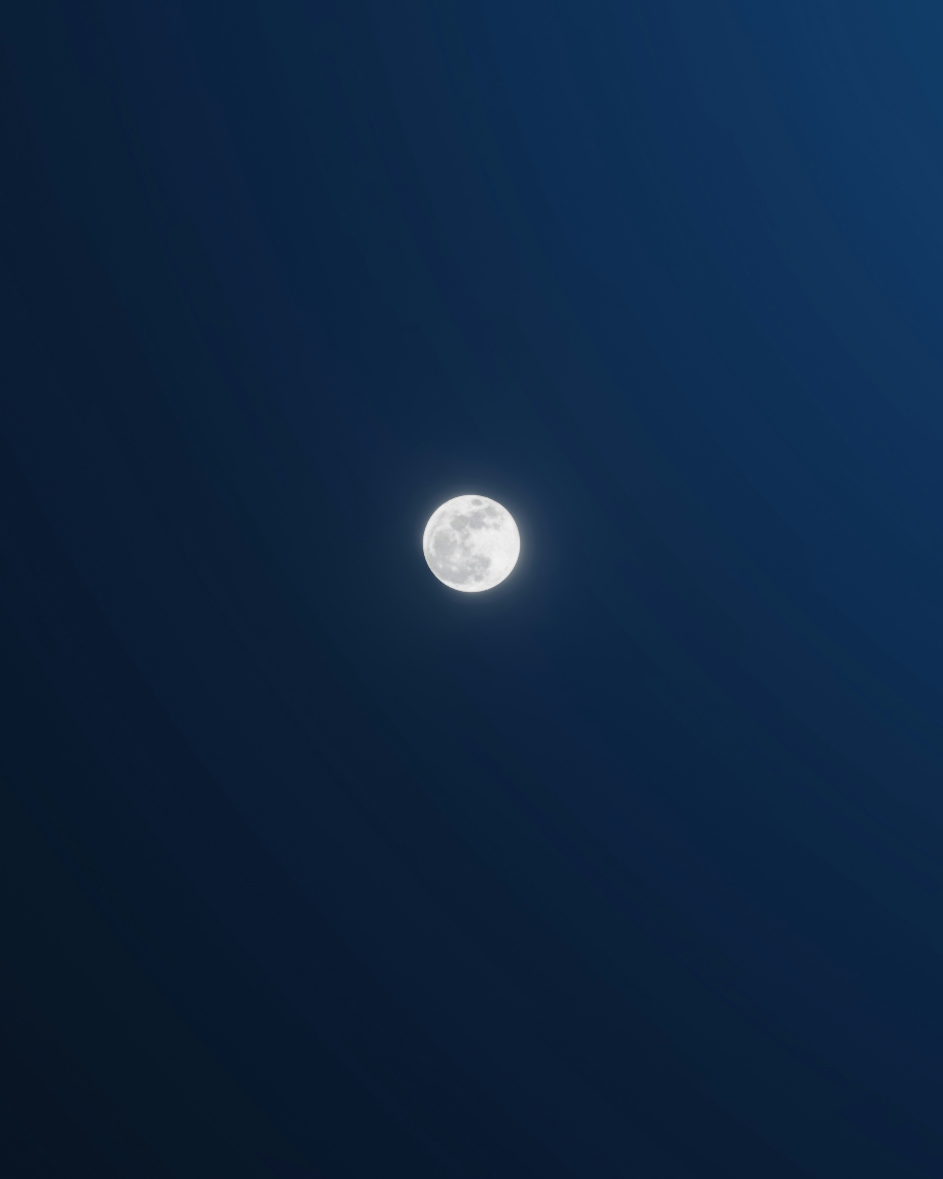 Photo by pramodtiwari