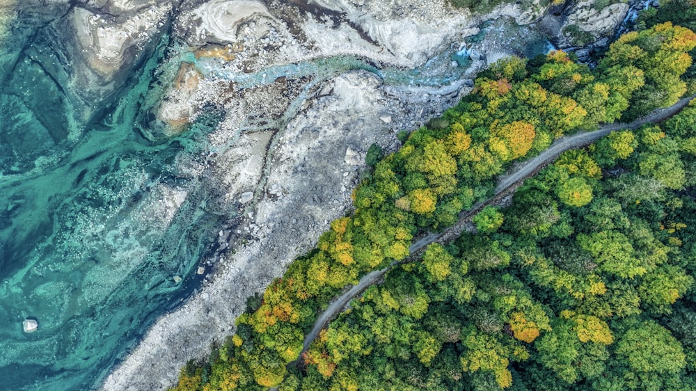 a river winding through a forest