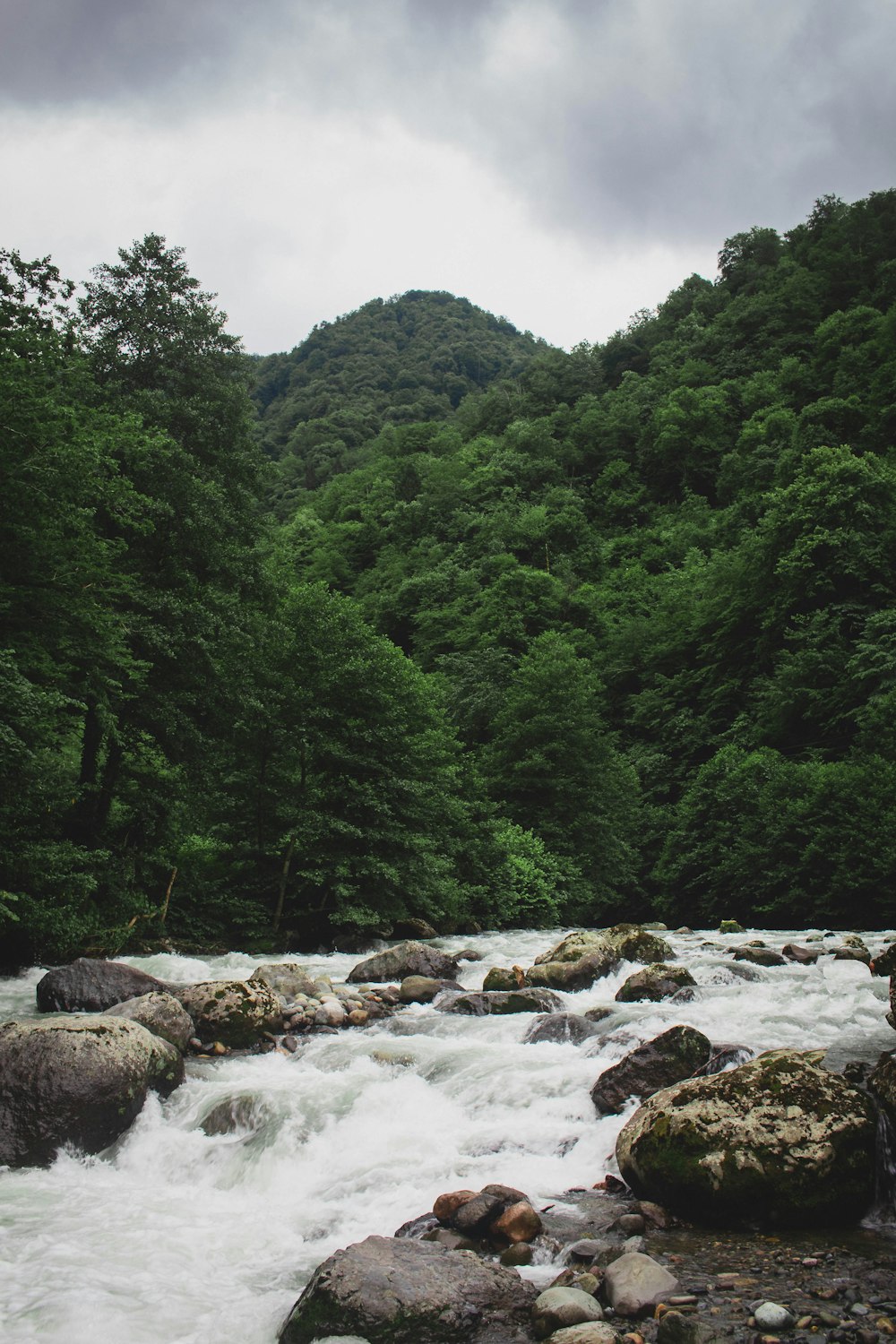 um rio que atravessa uma floresta