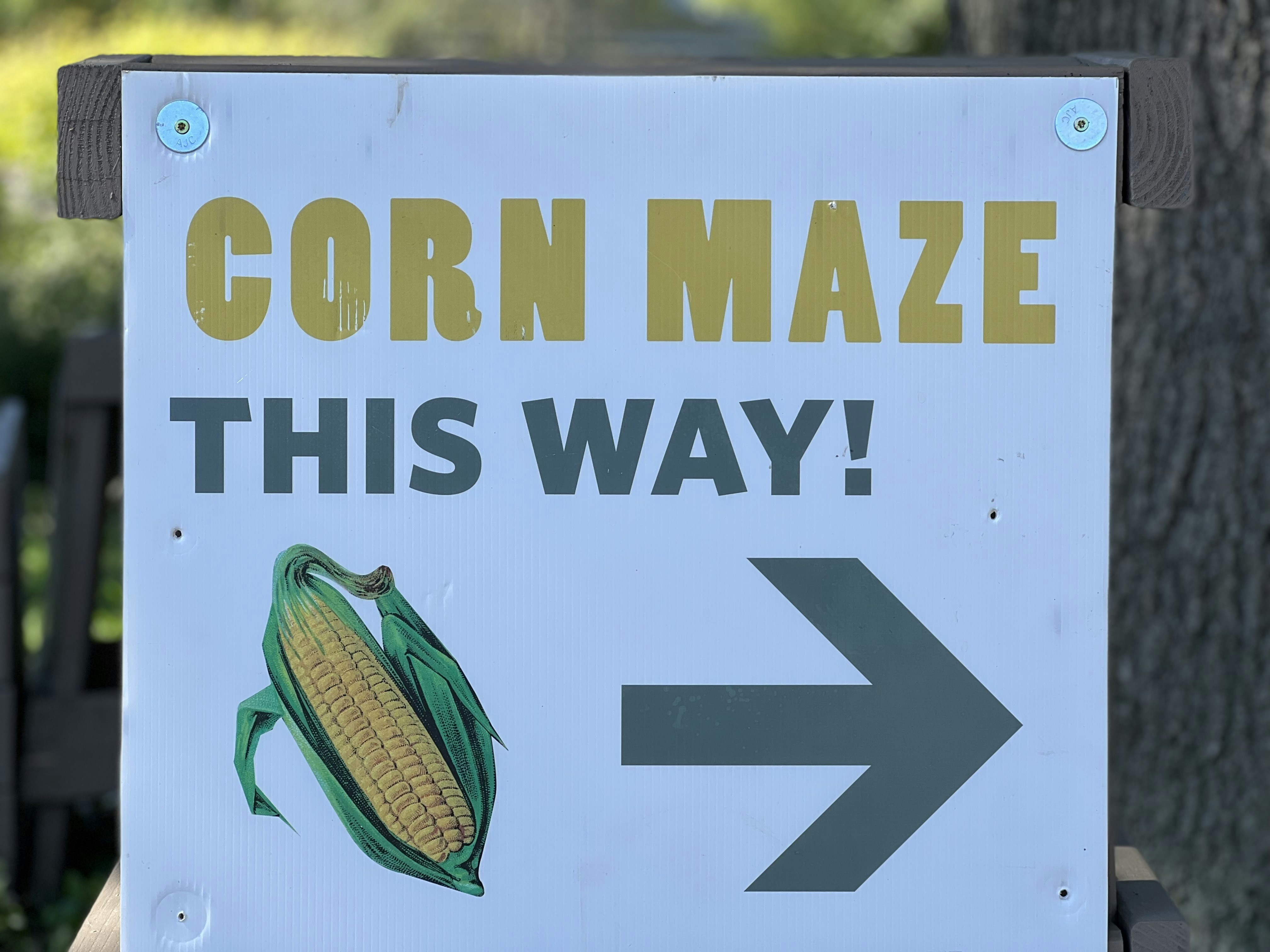 OK Corral