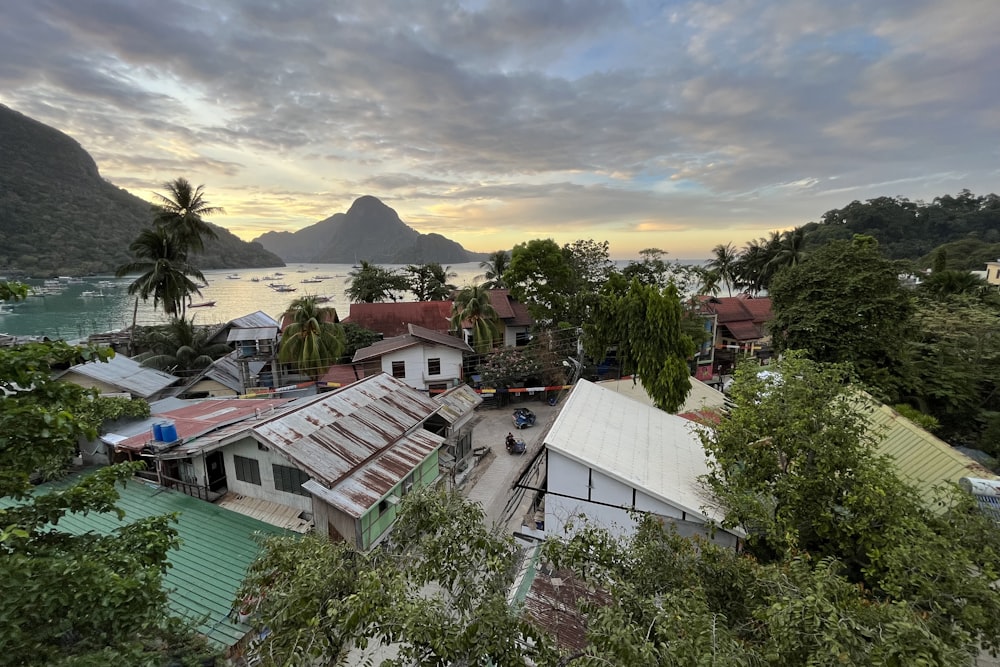 a group of houses next to a body of water