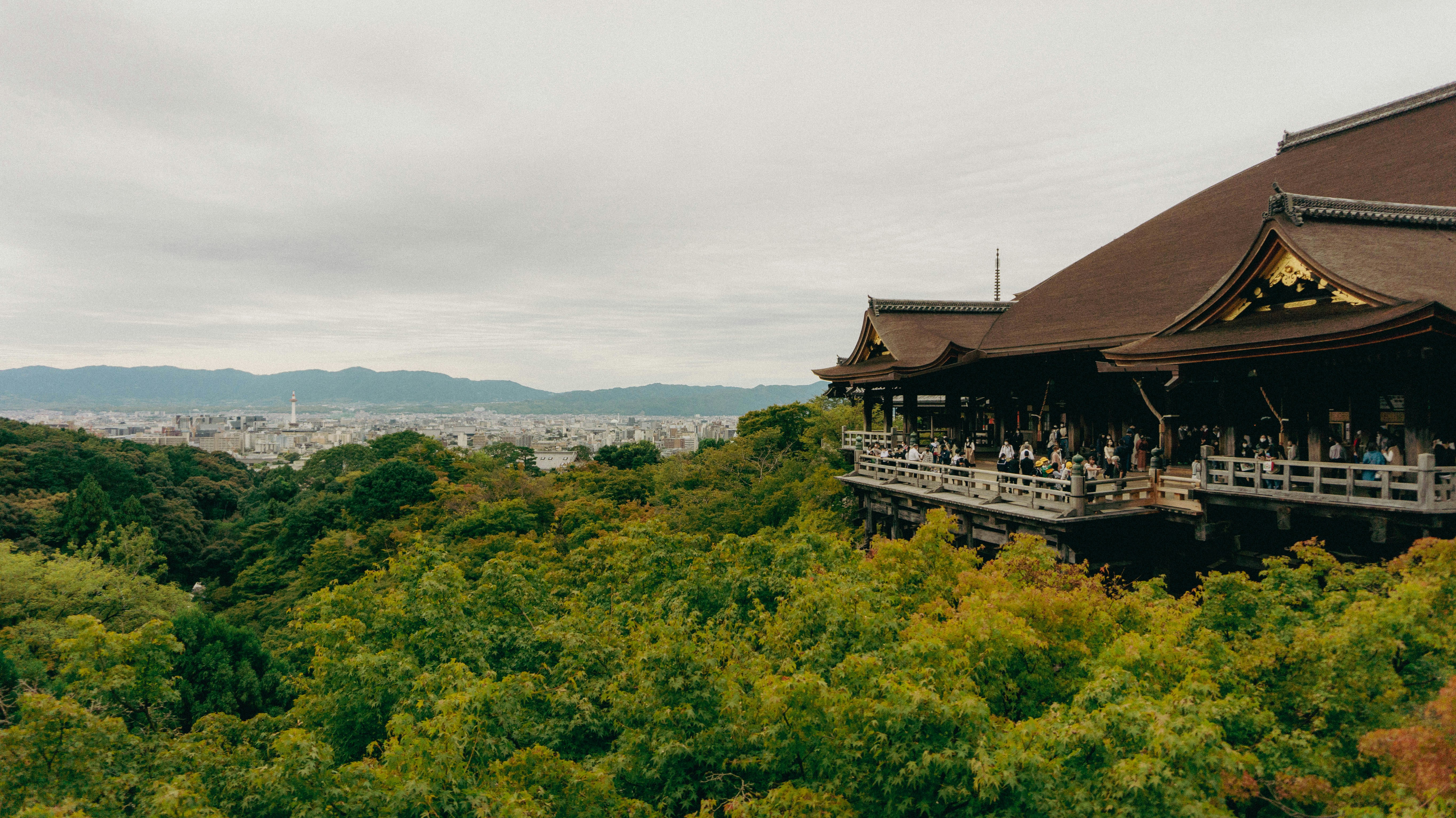 hakone onsen mountain hot spring view