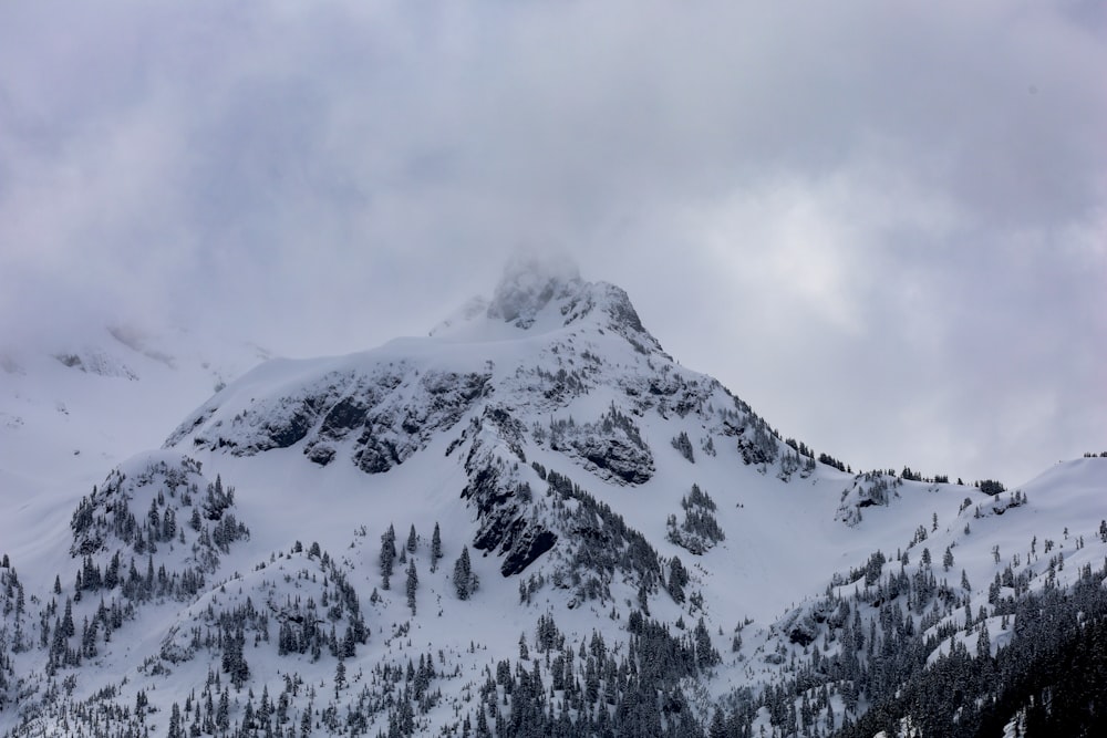 a snowy mountain with trees