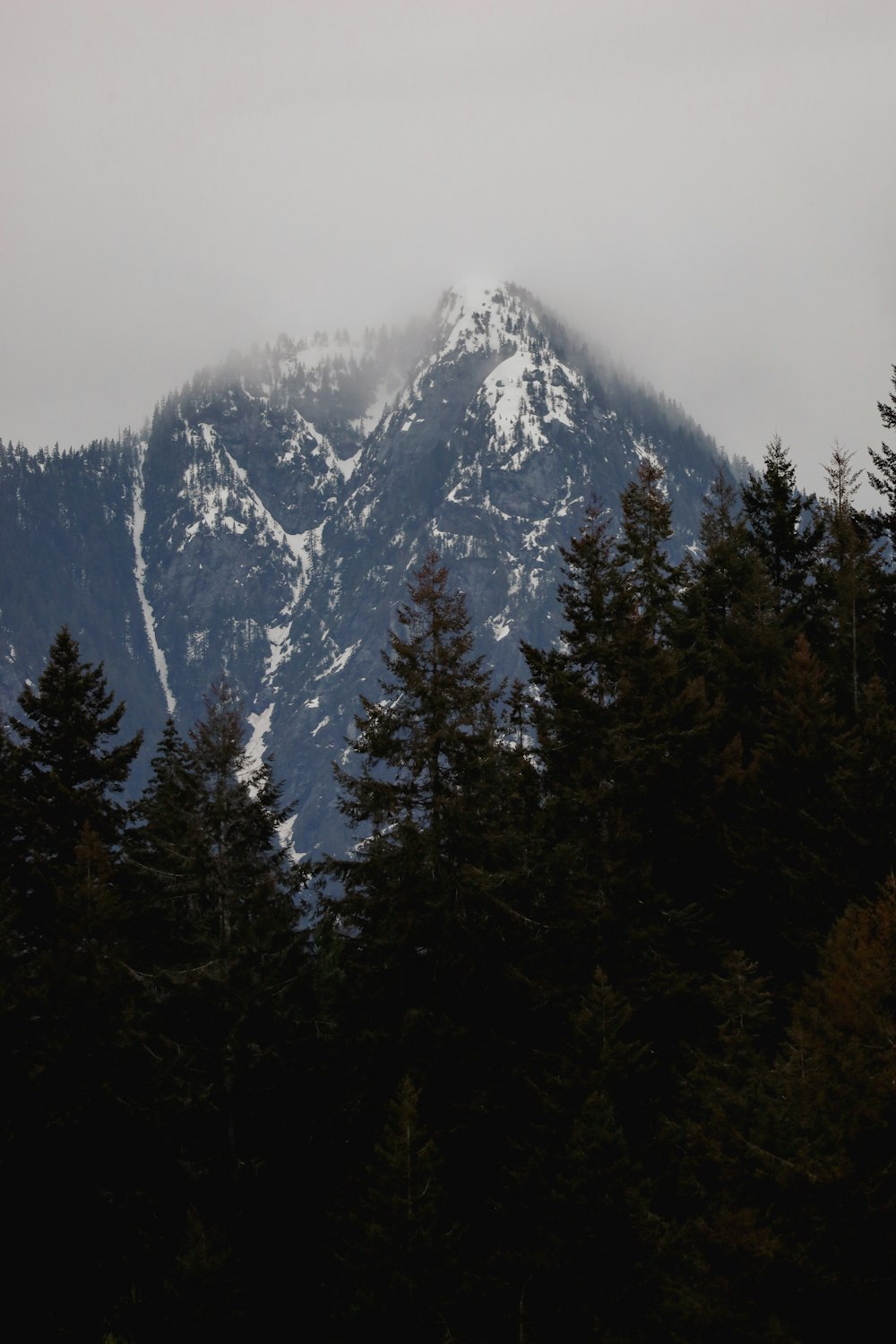 a snowy mountain with trees in front of it