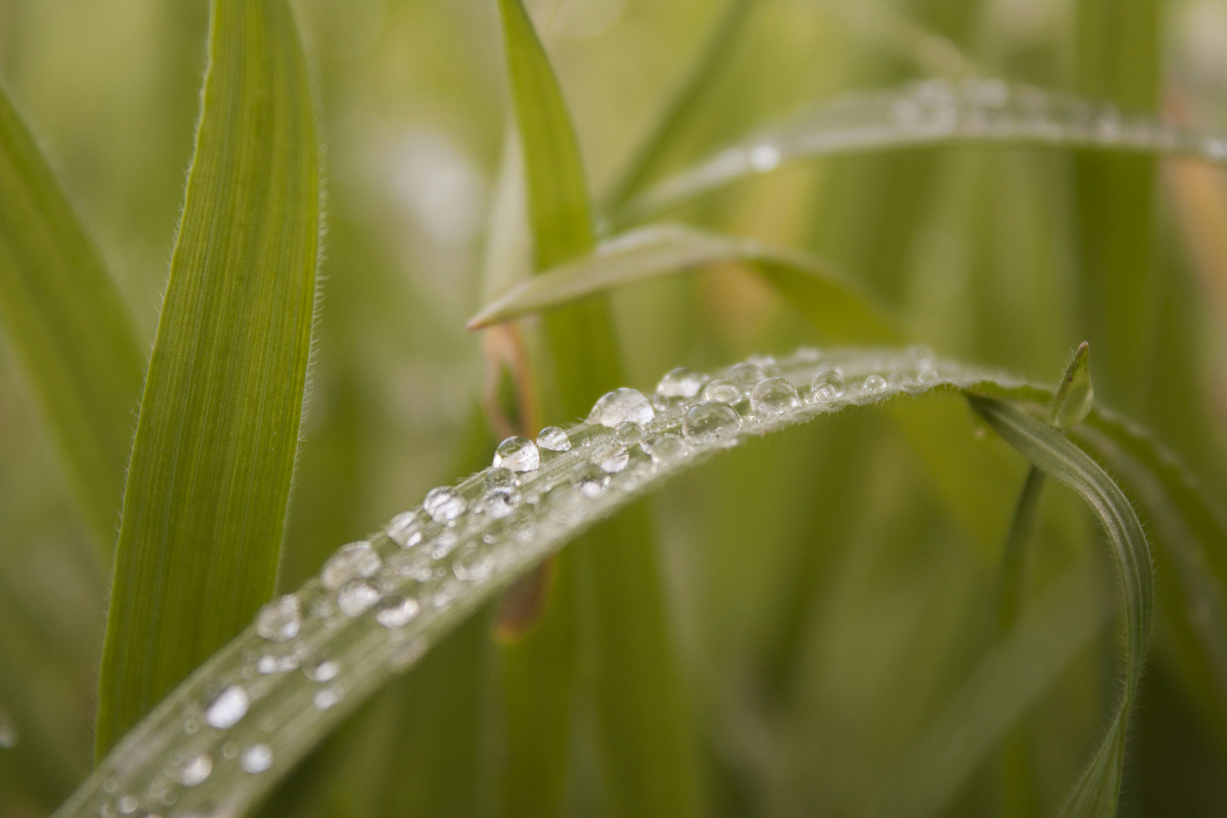 Photo by javier_balseiro