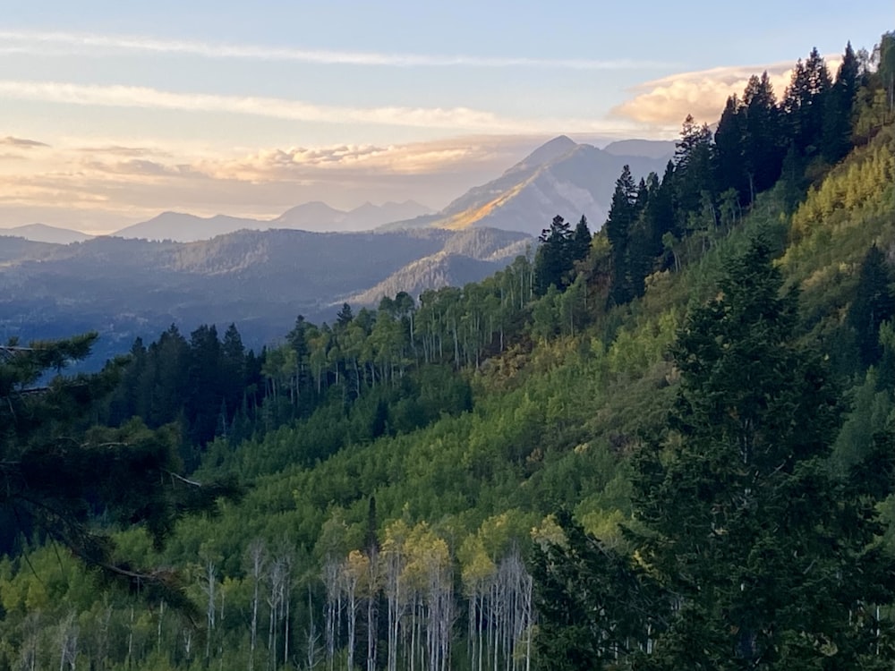 Un paisaje con árboles y colinas