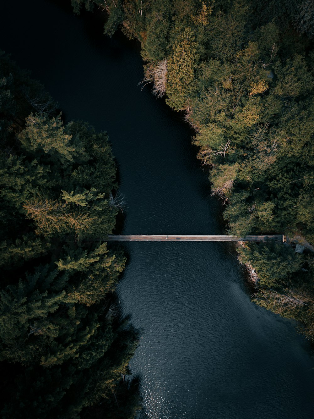 a river with a bridge