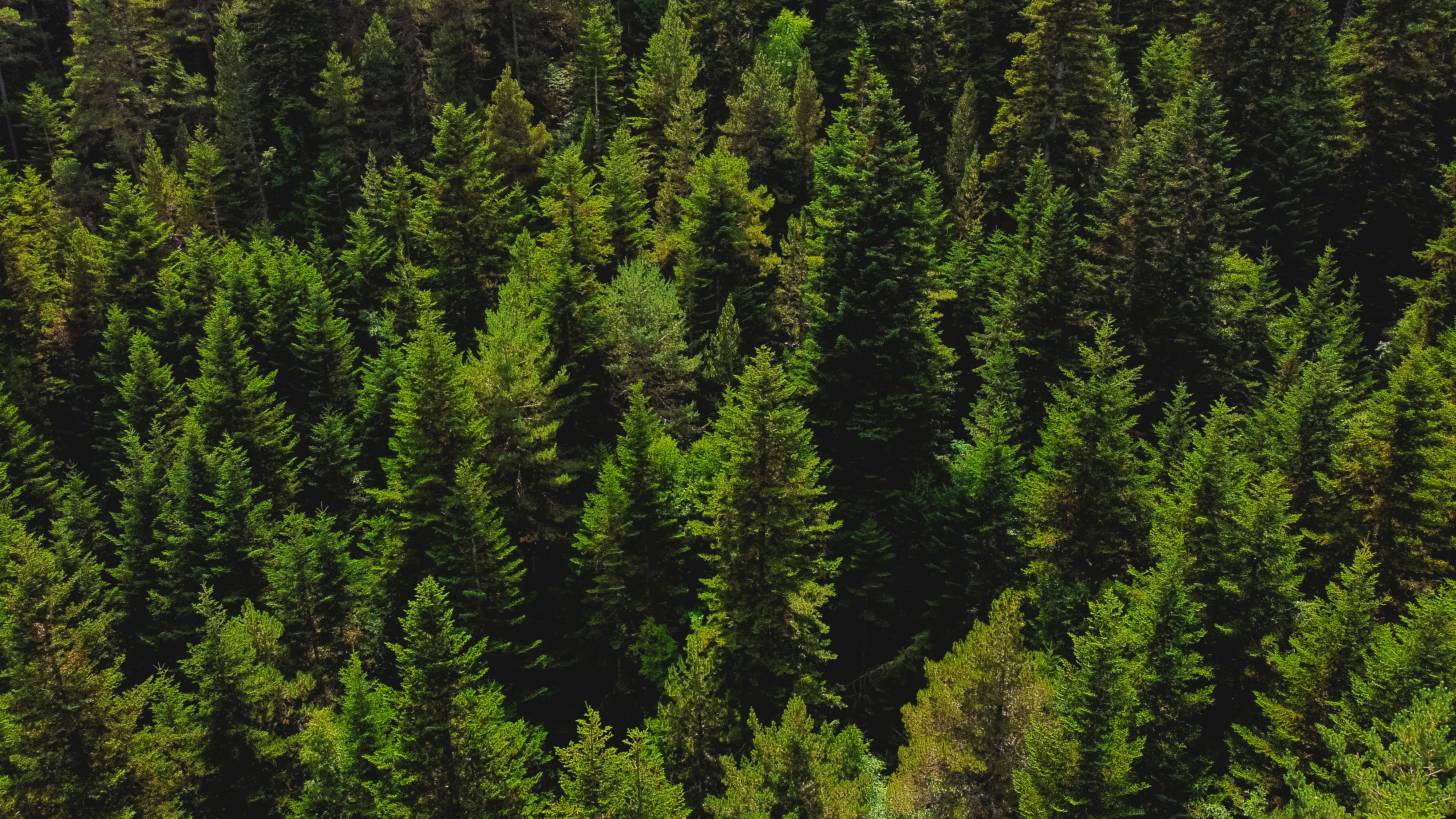 Photo by obisualmedia