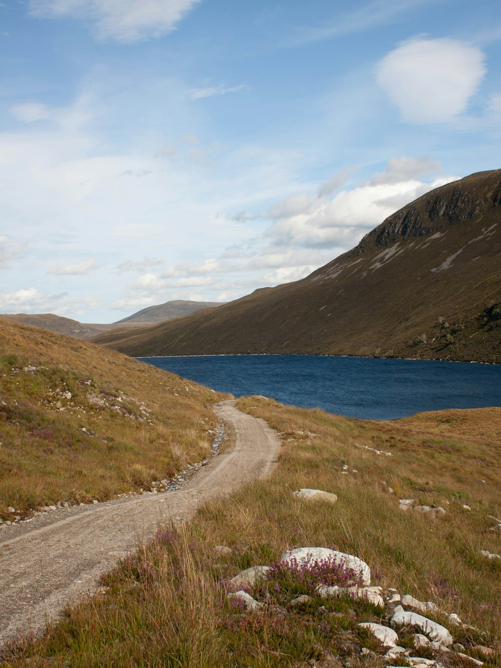 a road next to a body of water