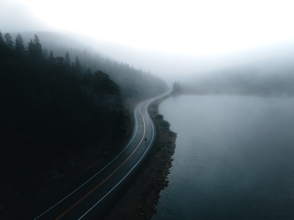 a long road with trees on either side of it