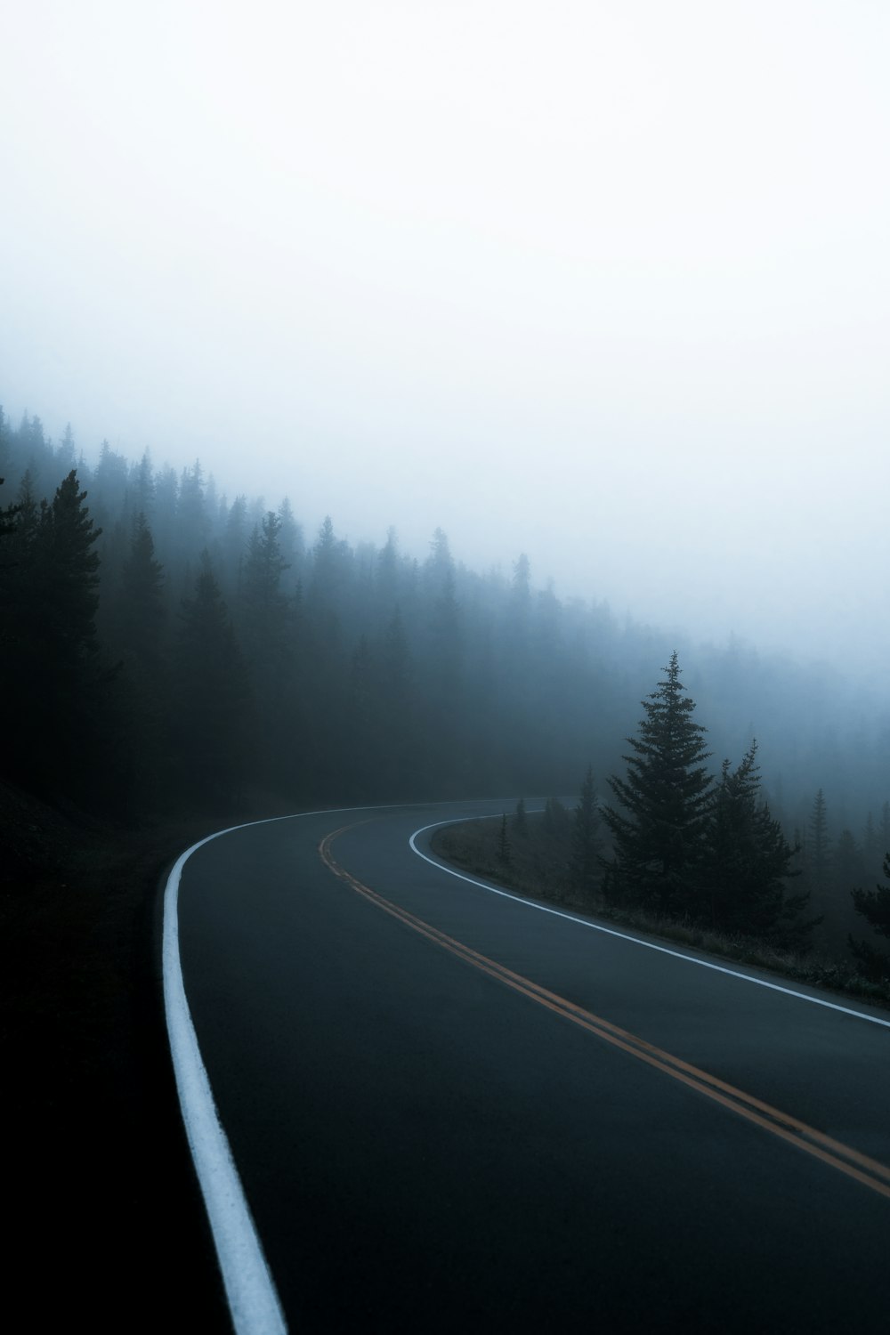 a road with trees on the side