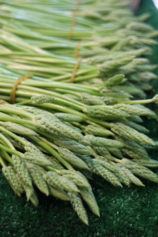 Bright green baby asparagus spears neatly arranged on a dark slate plate.