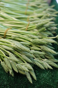 A neatly arranged pile of fresh green asparagus spears, laid out on a dark green textured surface. The asparagus spears are bundled together at intervals with visible rubber bands.