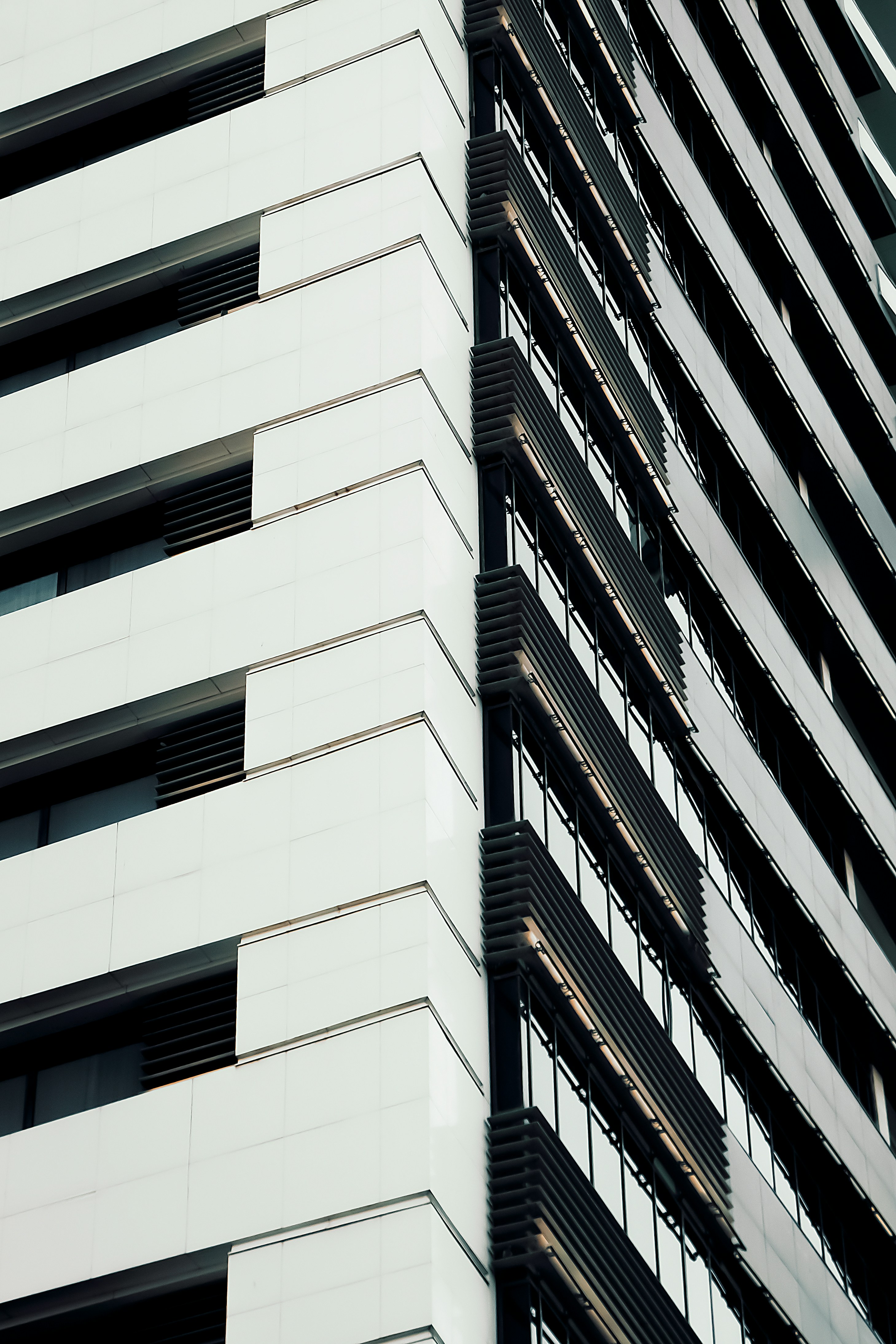 Photo by mahdibafande