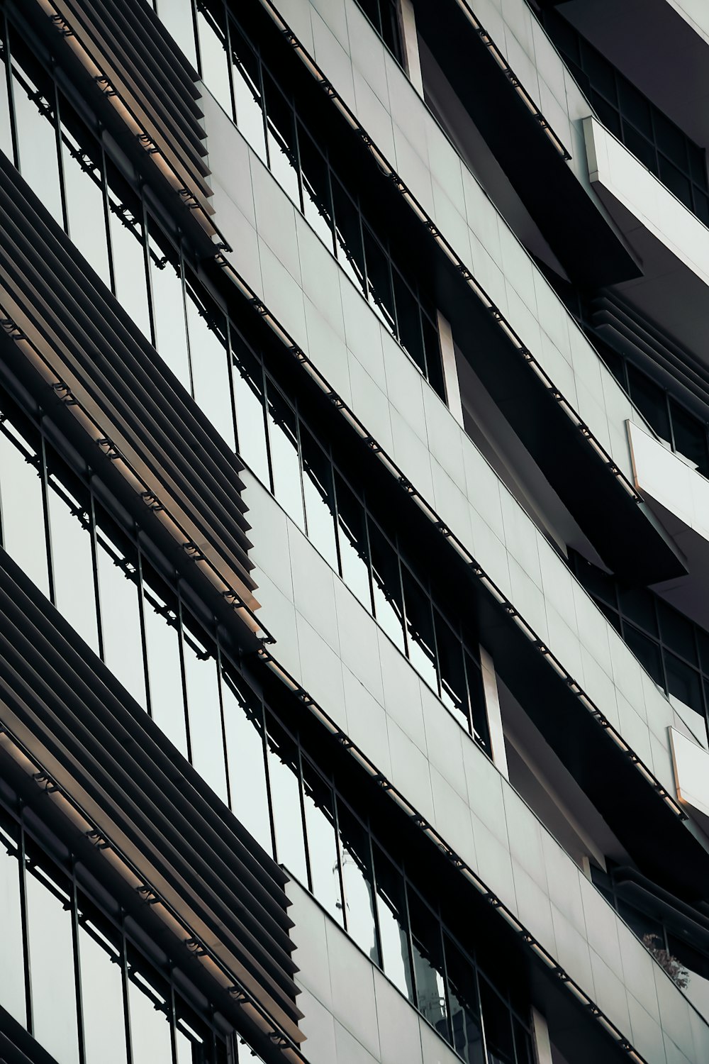 a building with many windows