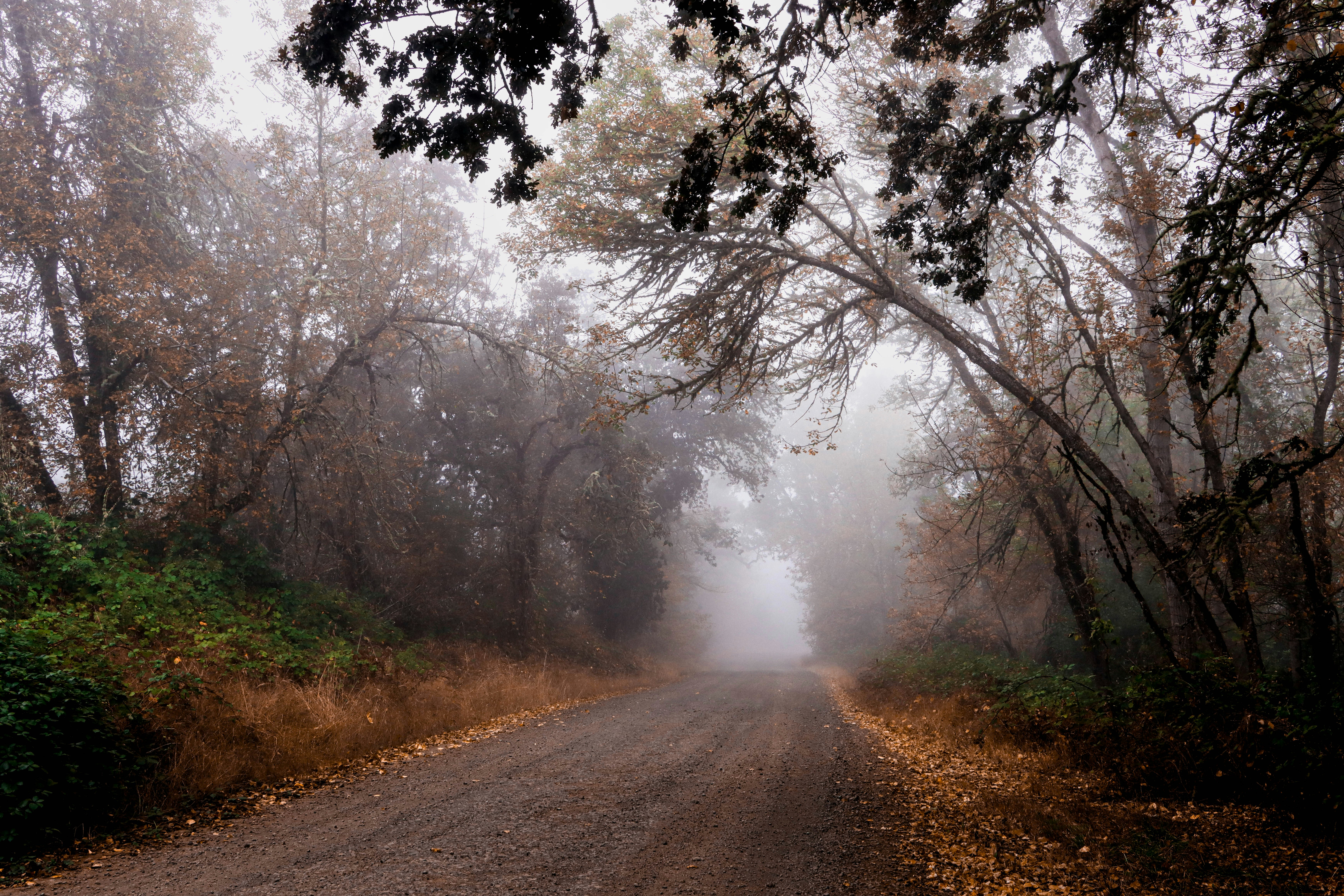 Photo by davidjboozer