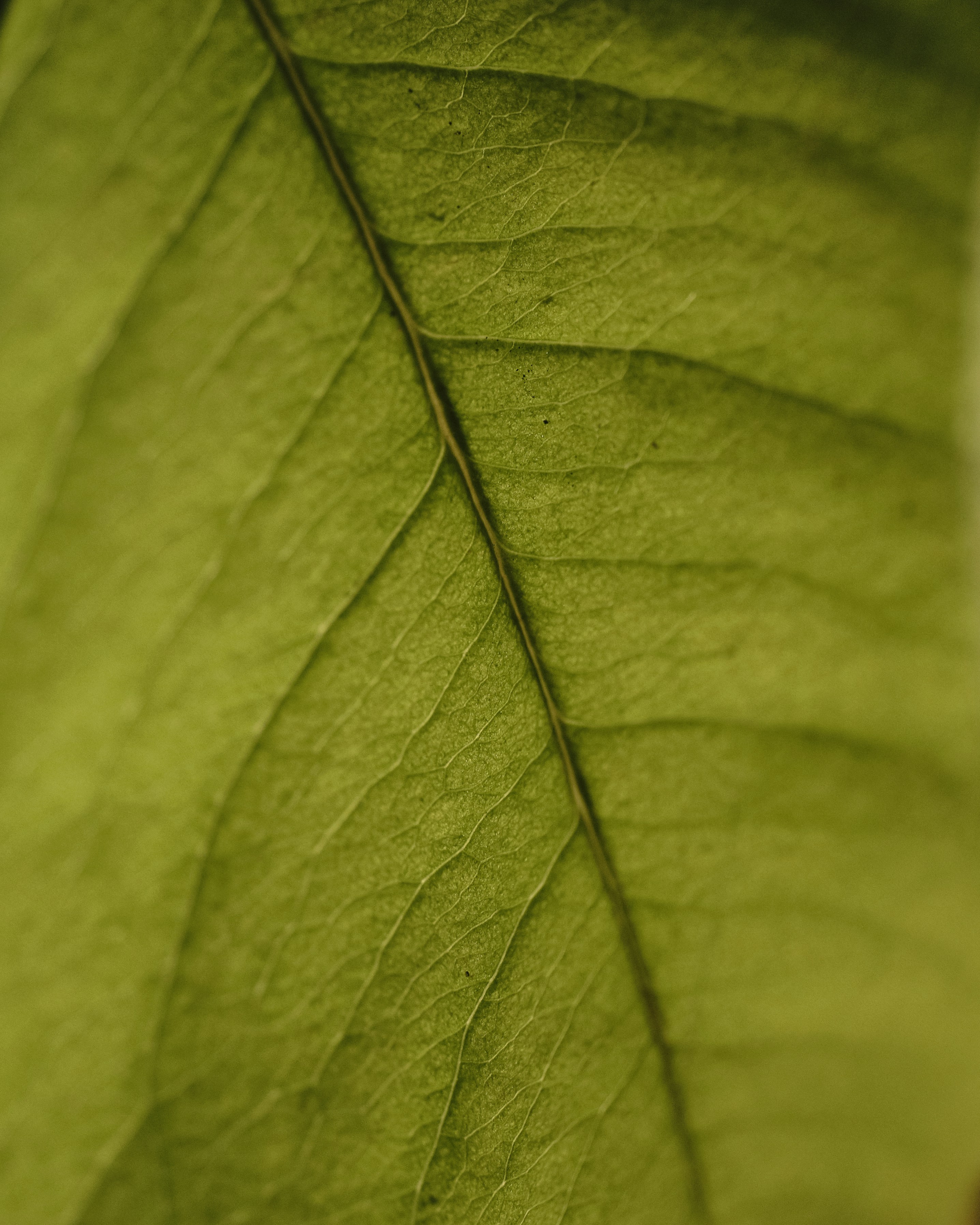 Photo by victor_vector