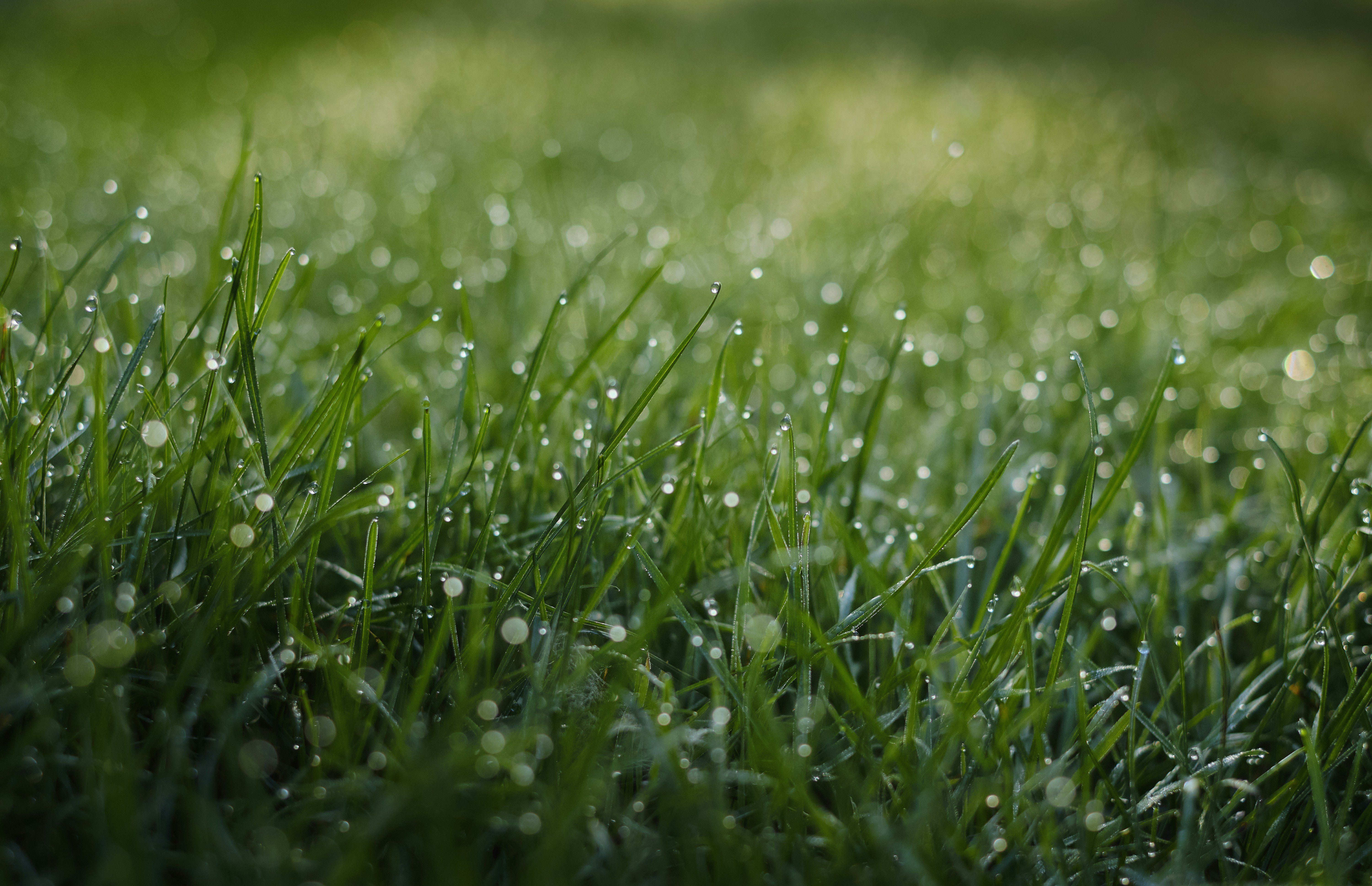 Photo by victor_vector