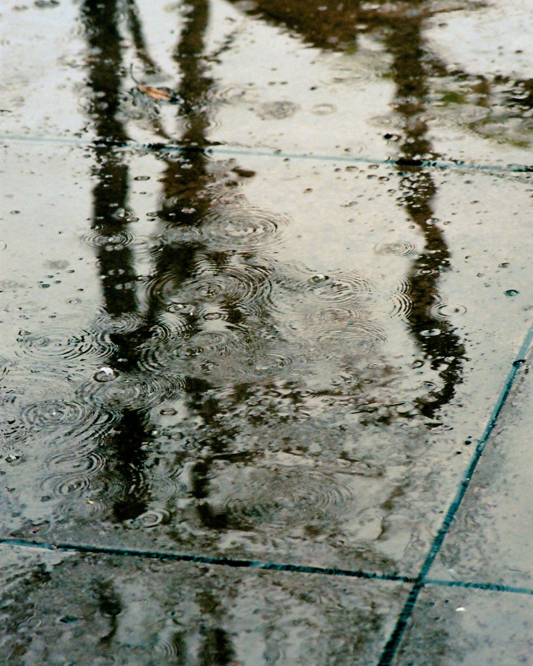 Photo by patrickperkins