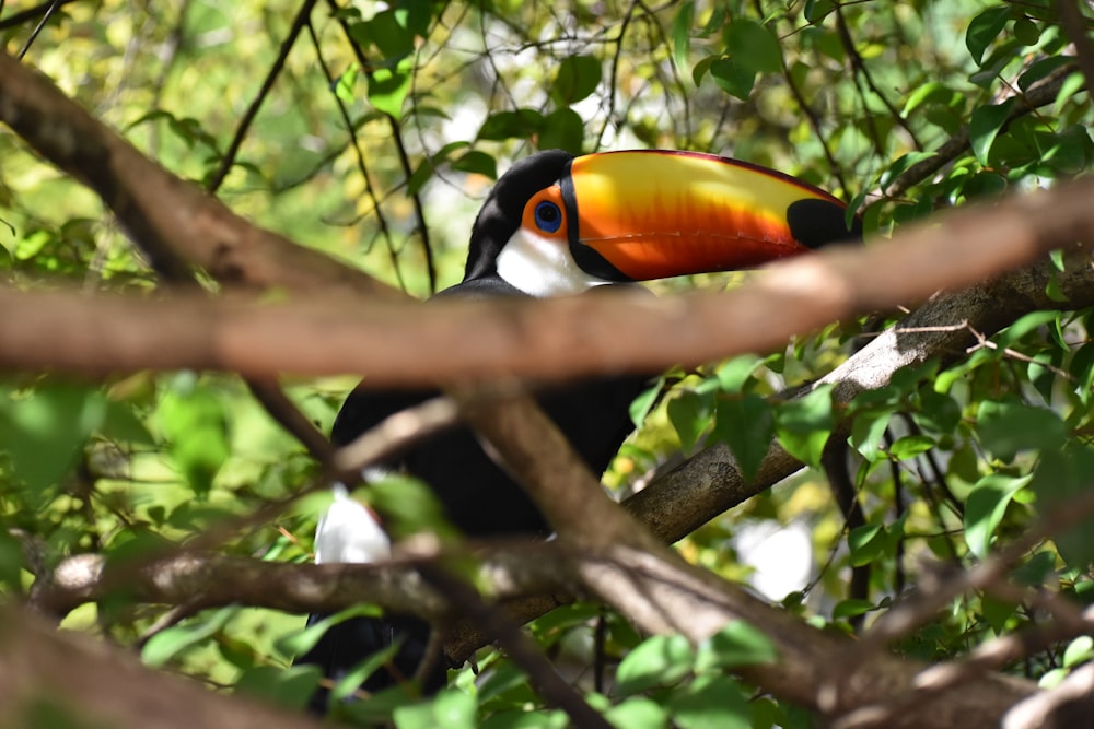 a bird sits on a tree branch