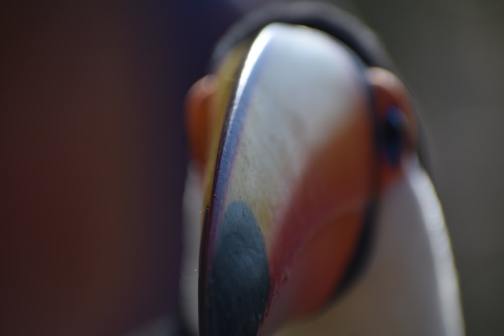 a close-up of a person's mouth