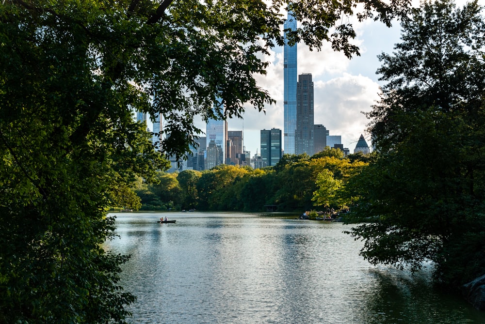 a river with trees and a city in the background