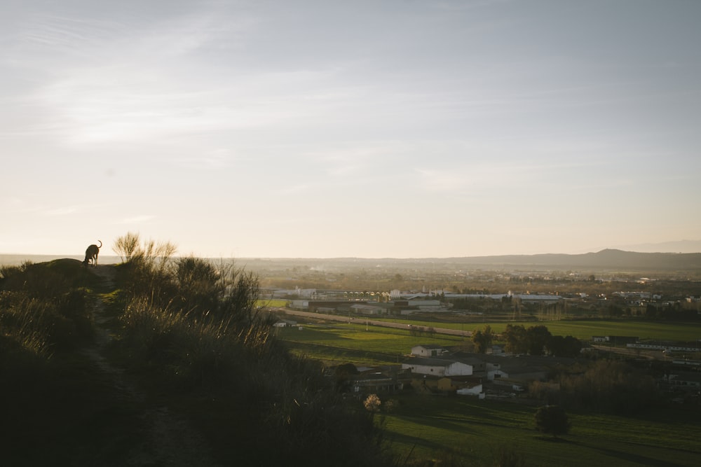 a landscape with houses and trees