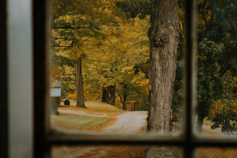 a view of a road through trees