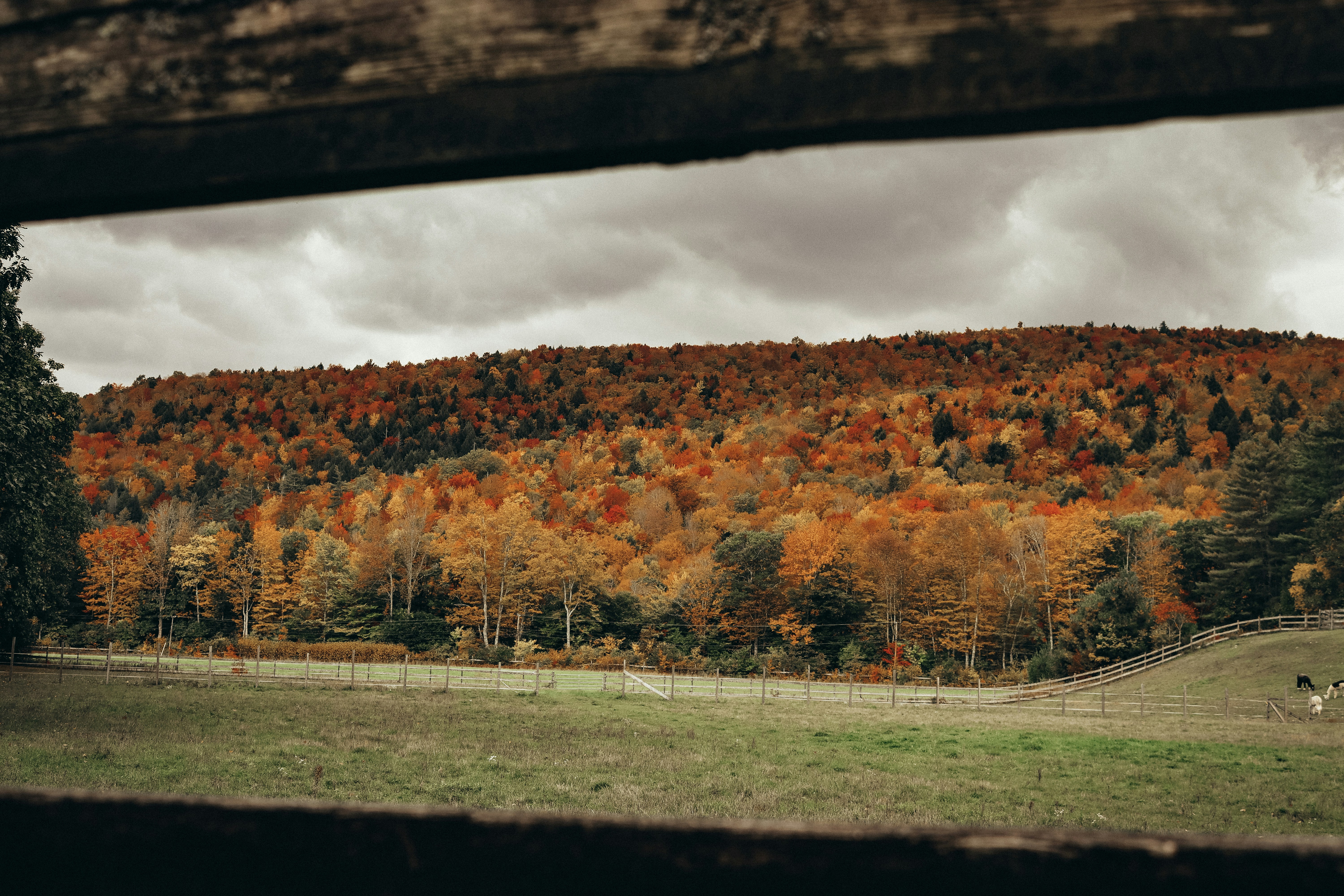Photo by jontyson