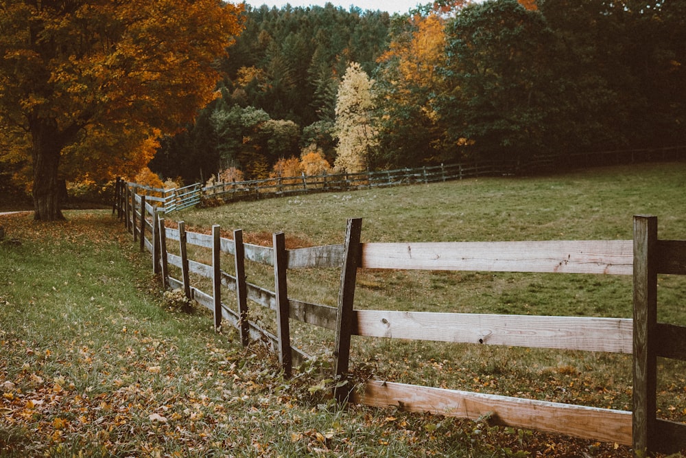 a wooden fence in a field
