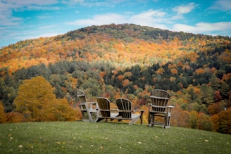 chairs on a grassy hill