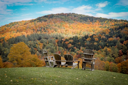 chairs on a grassy hill