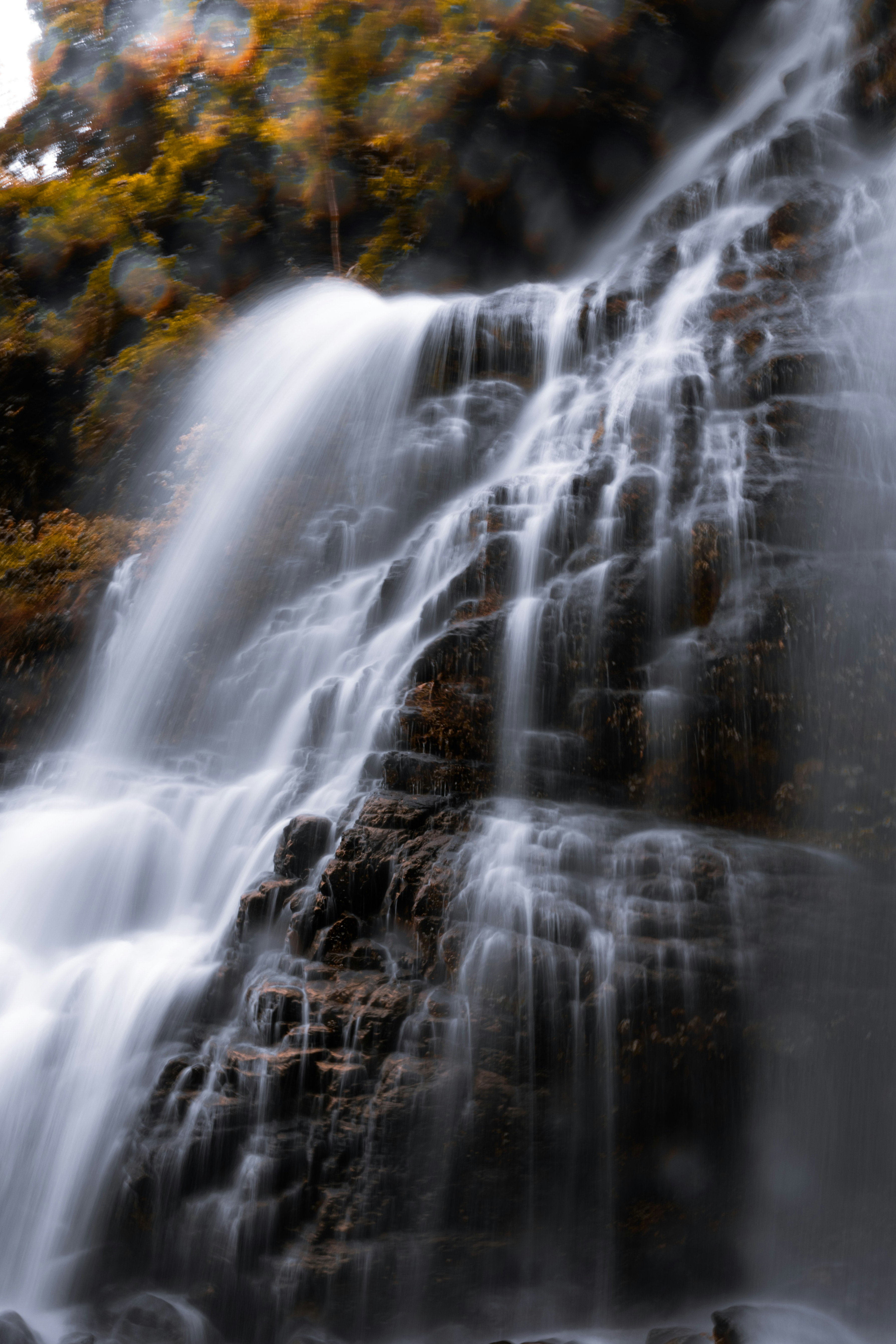 Photo by aaryankohli