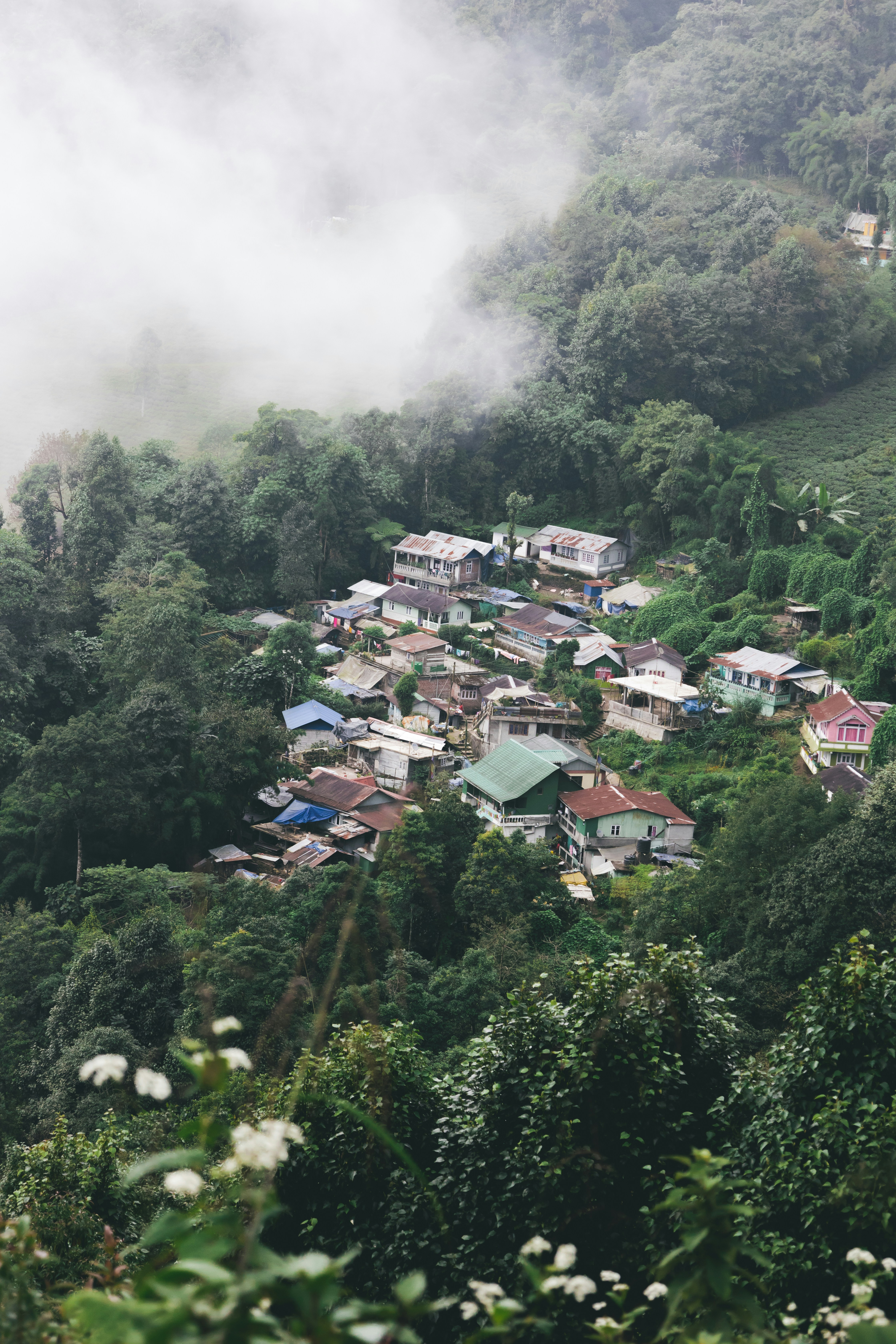 Photo by aaryankohli