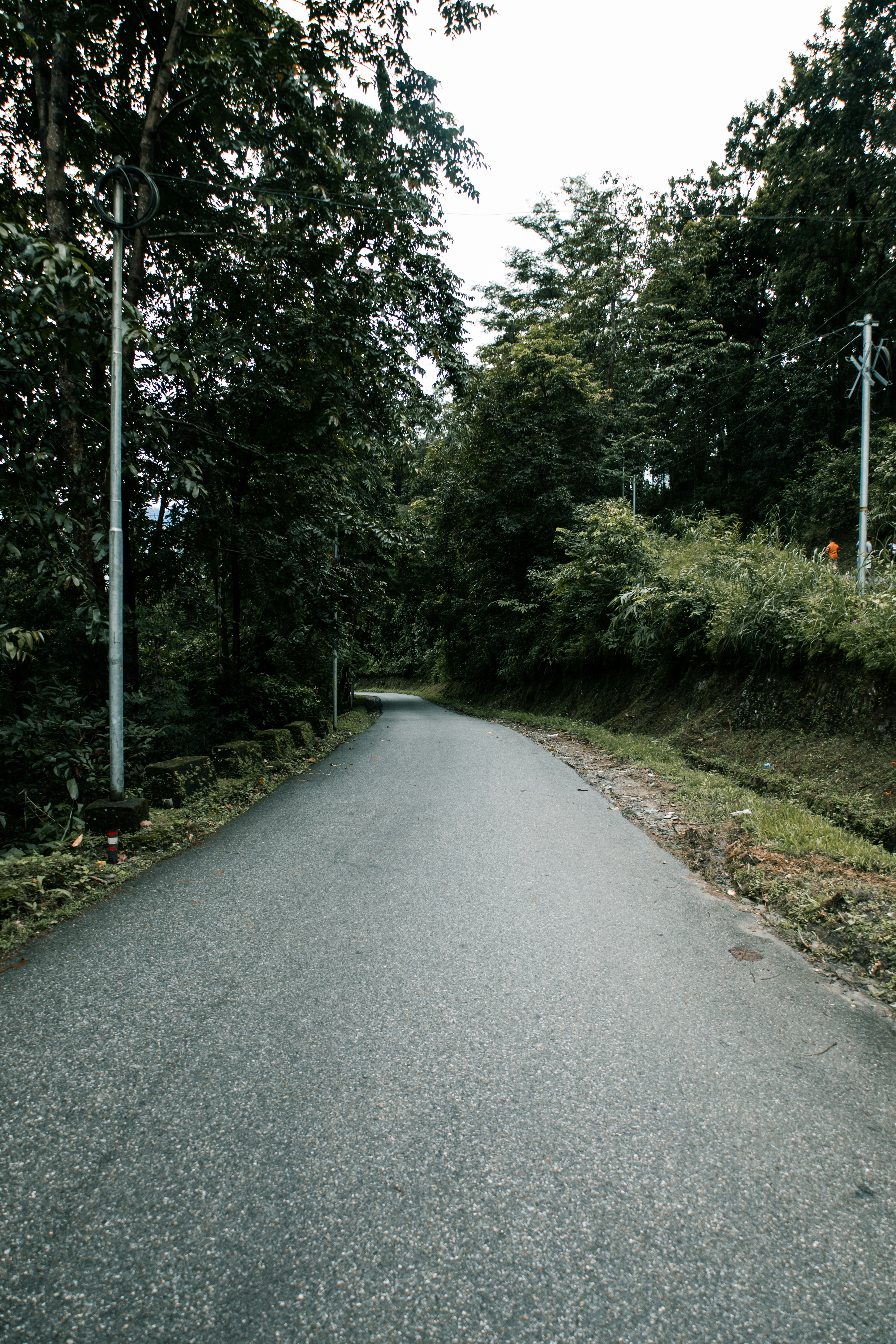 Photo by aaryankohli