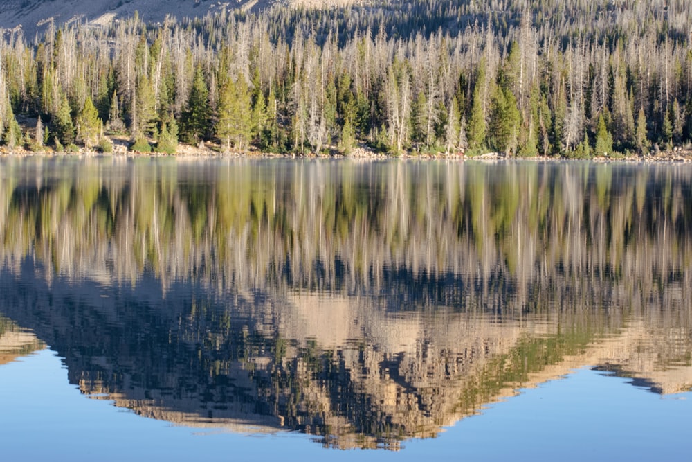 a lake with trees and mountains in the background