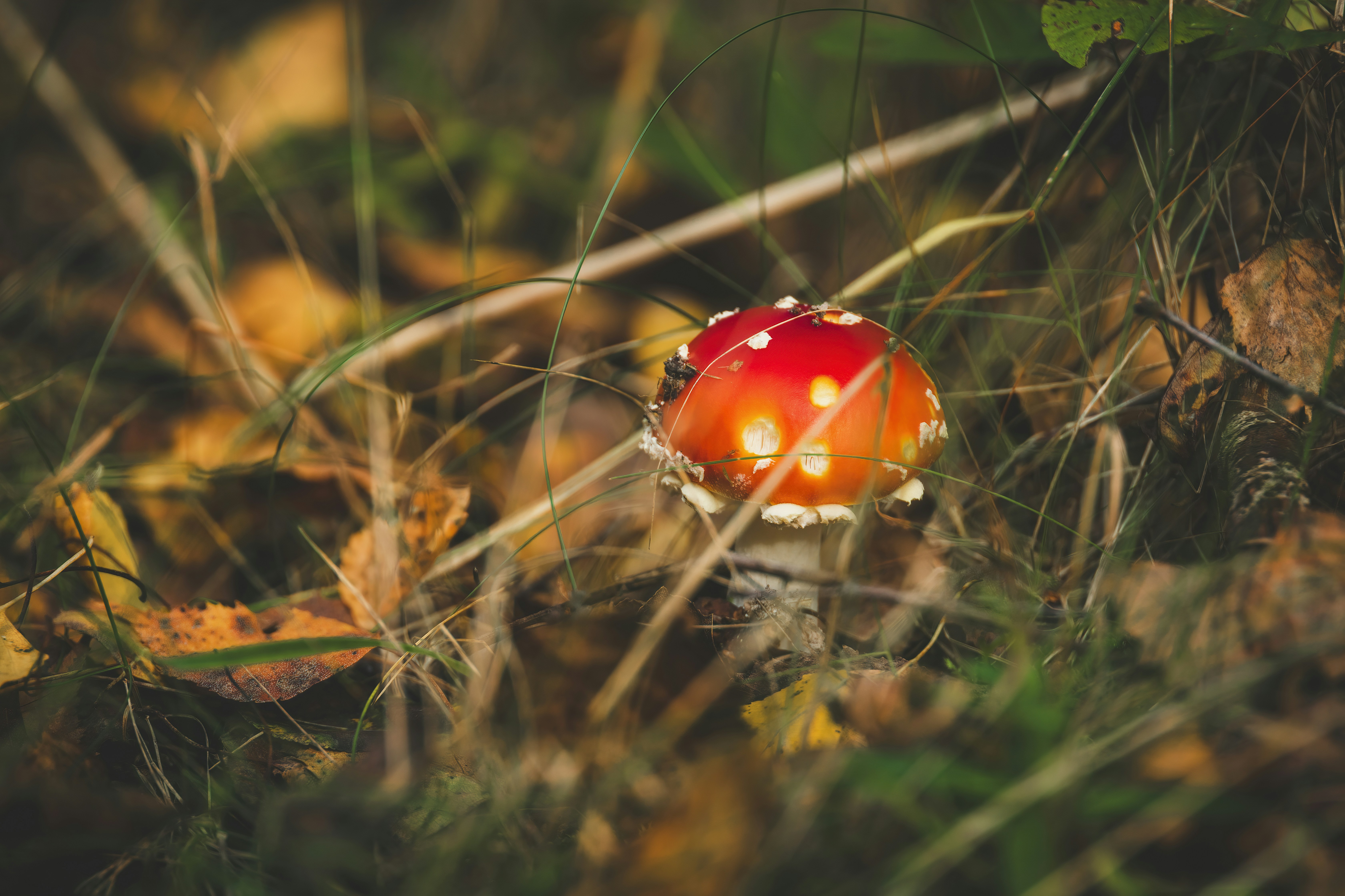 Photo by mcisowski