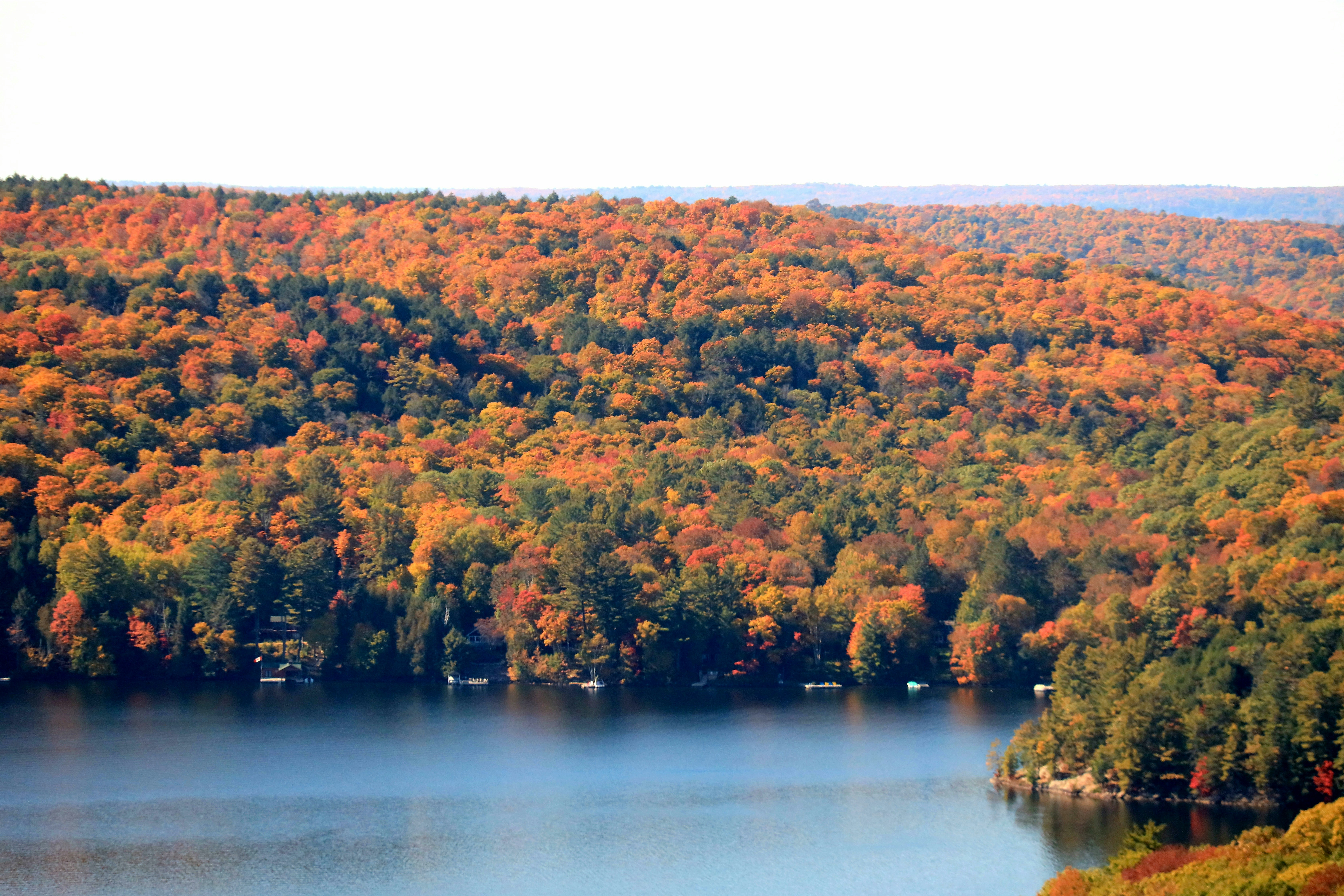 Photo by richardworks