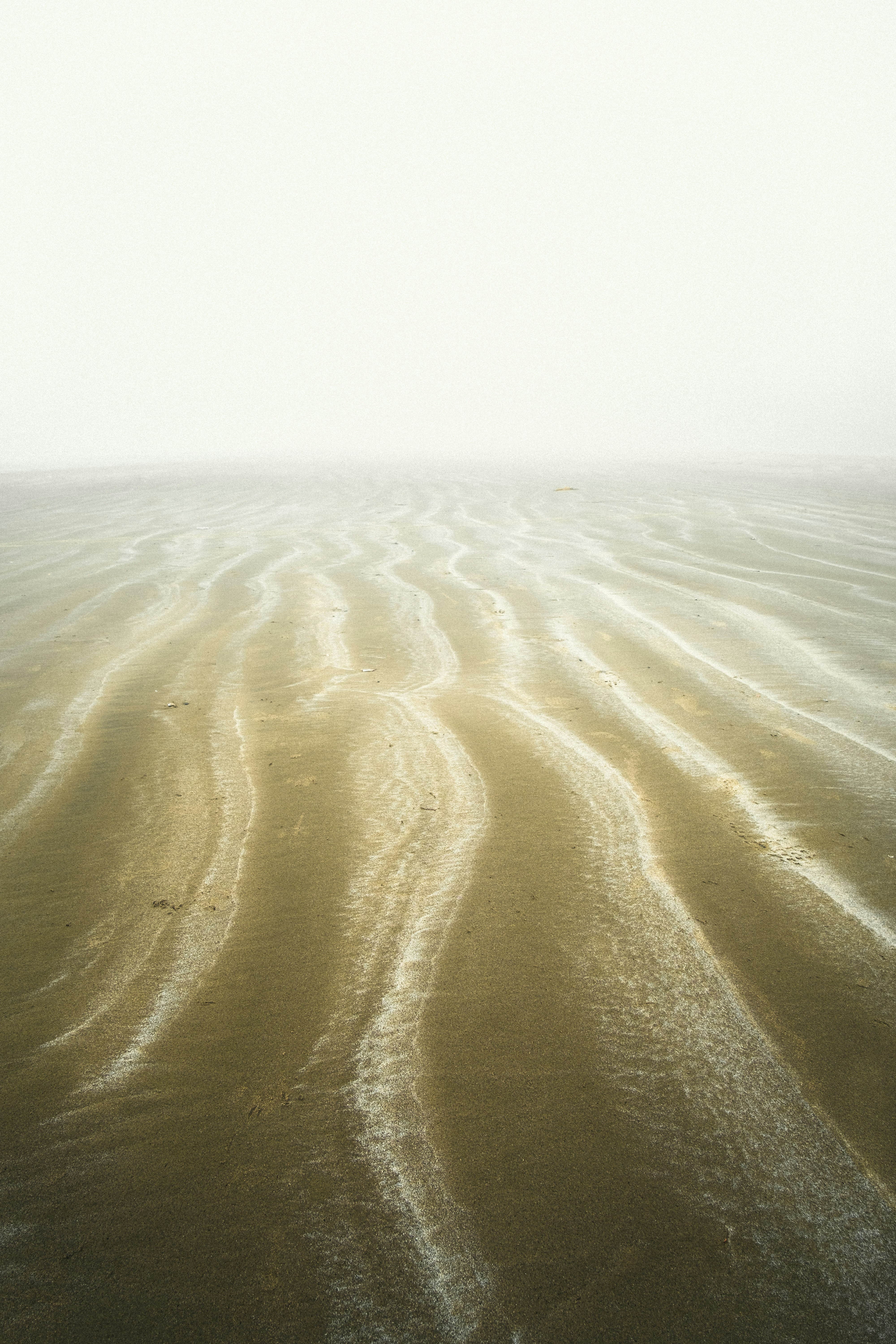 Photo by last_name_cheng