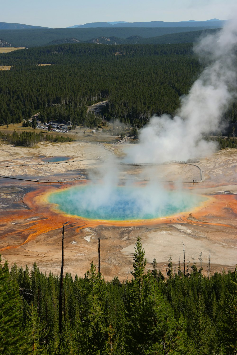 a large geyser in a forest